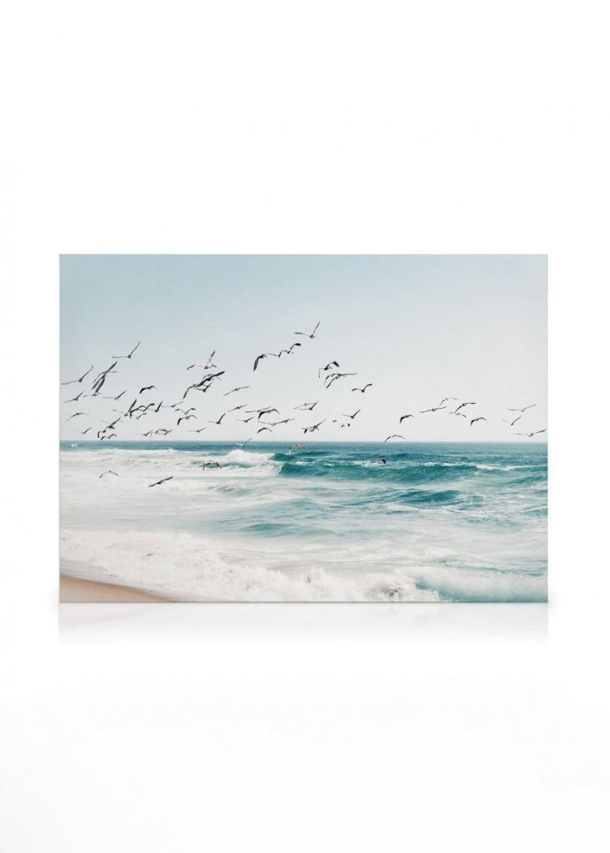 Obrazy na płótnie Birds on Seascape Obraz na płótnie (50x70 cm - Czarna ramka)