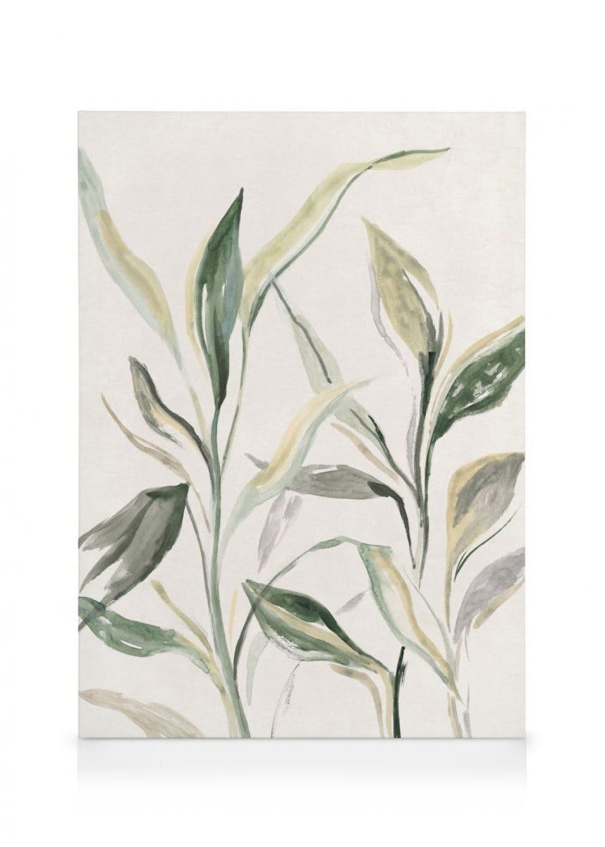 Telas decorativas Painted Plant Tela (30x40 cm)