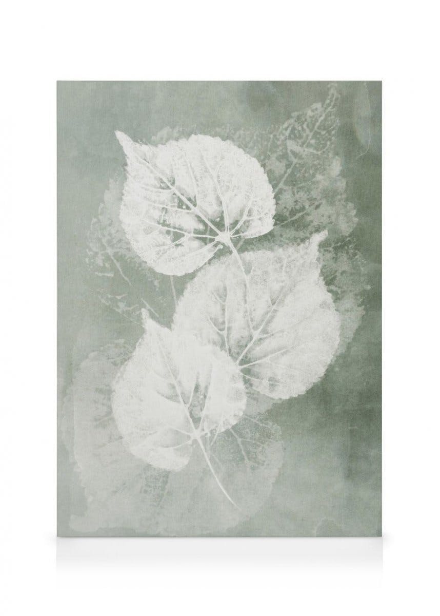 Obrazy na płótnie Pressed Leaves Obraz na płótnie (30x40 cm)