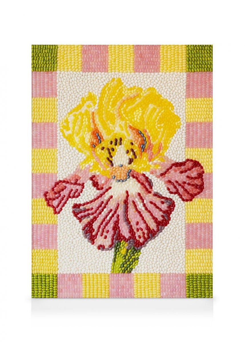 Canvas Prints Candy Garden - Iris Delight Canvas print (50x70 cm)