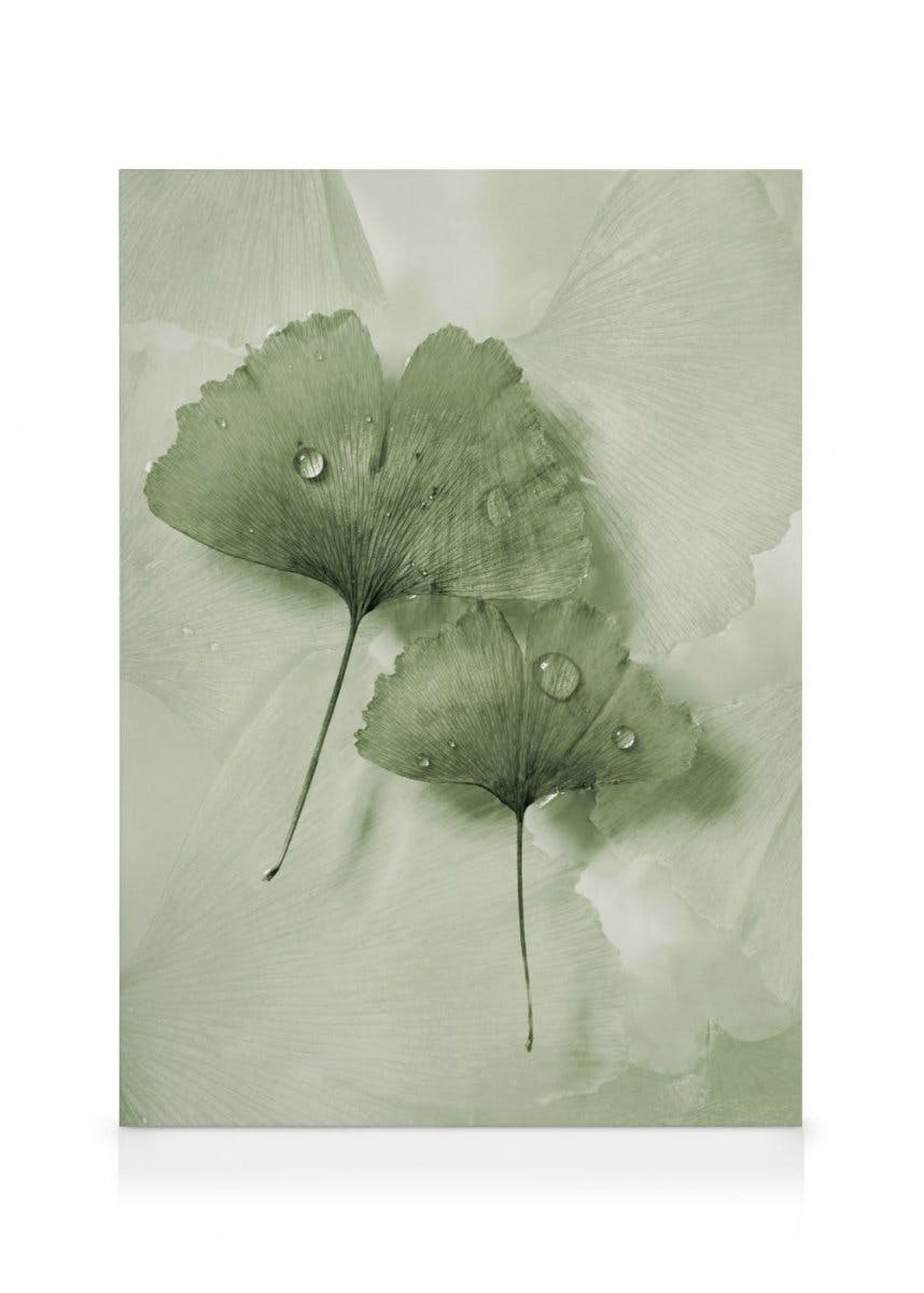 Obrazy na płótnie Green Ginkgo Obraz na płótnie (30x40 cm)