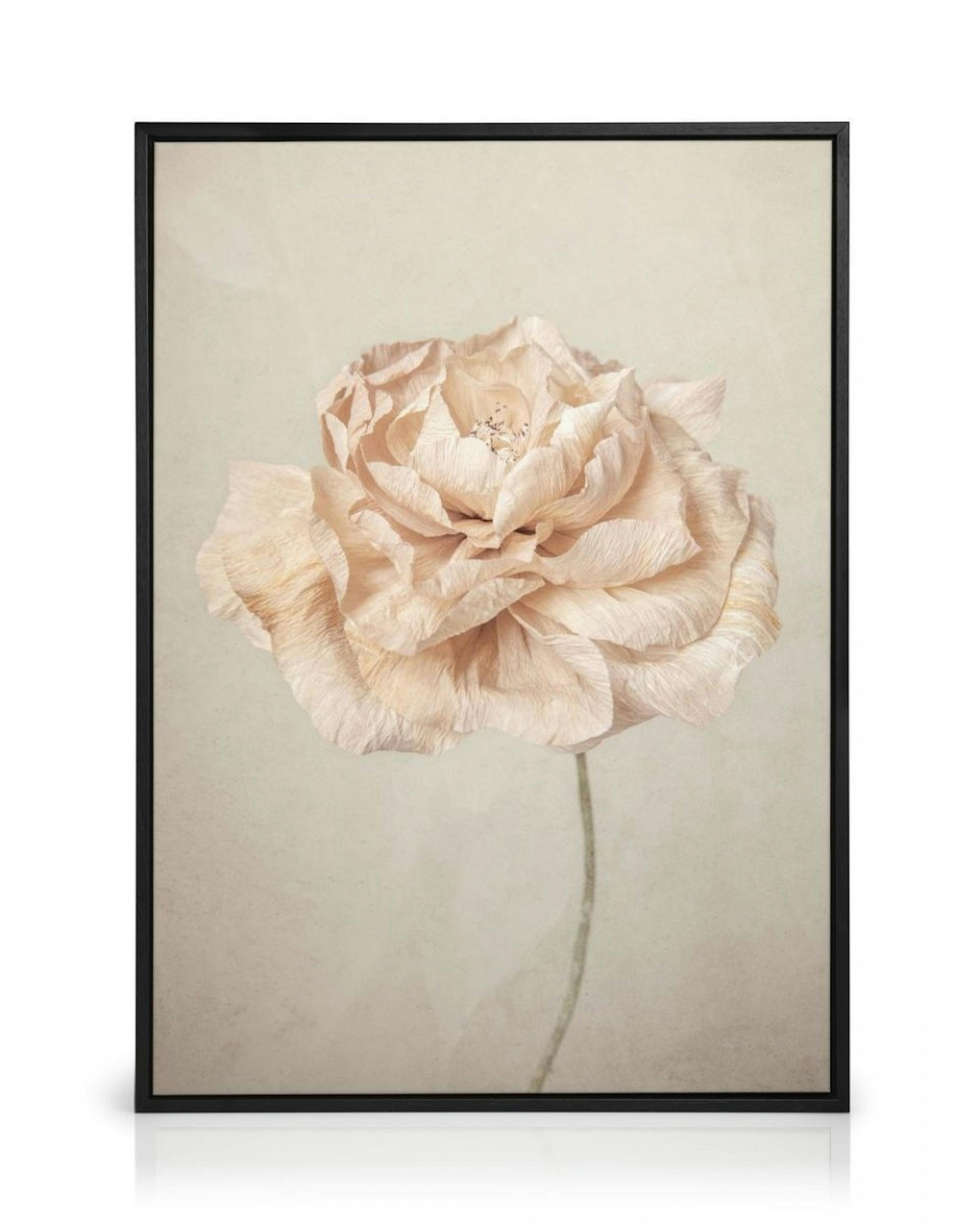 Soft Blossom Canvas print