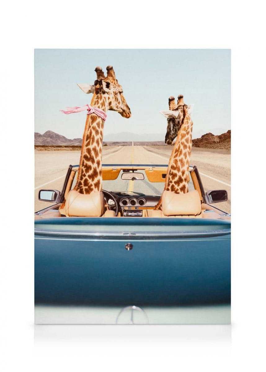 Canvas Prints Giraffe Drive Canvas (30x40 cm)