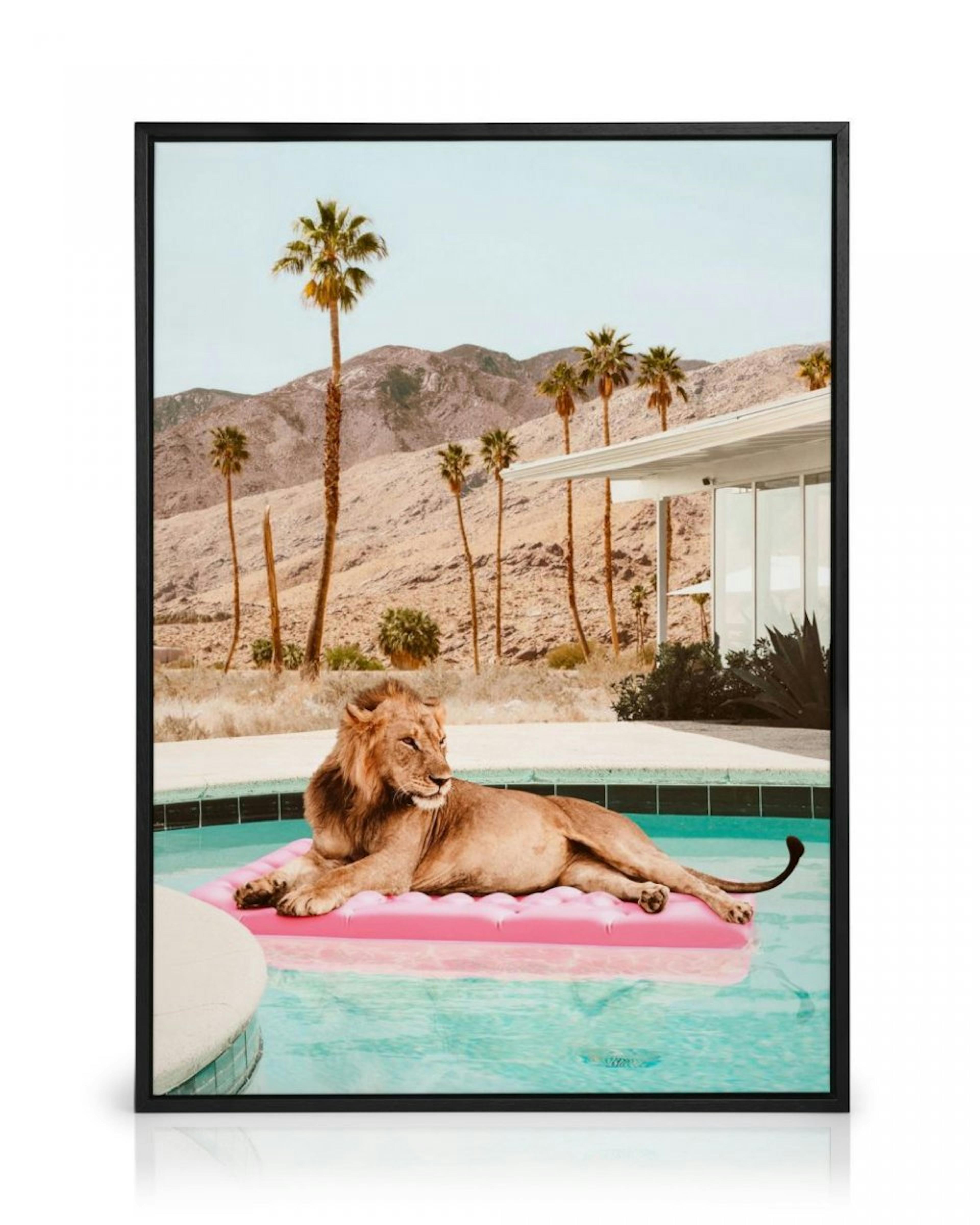 Sunbathing Lion Canvas