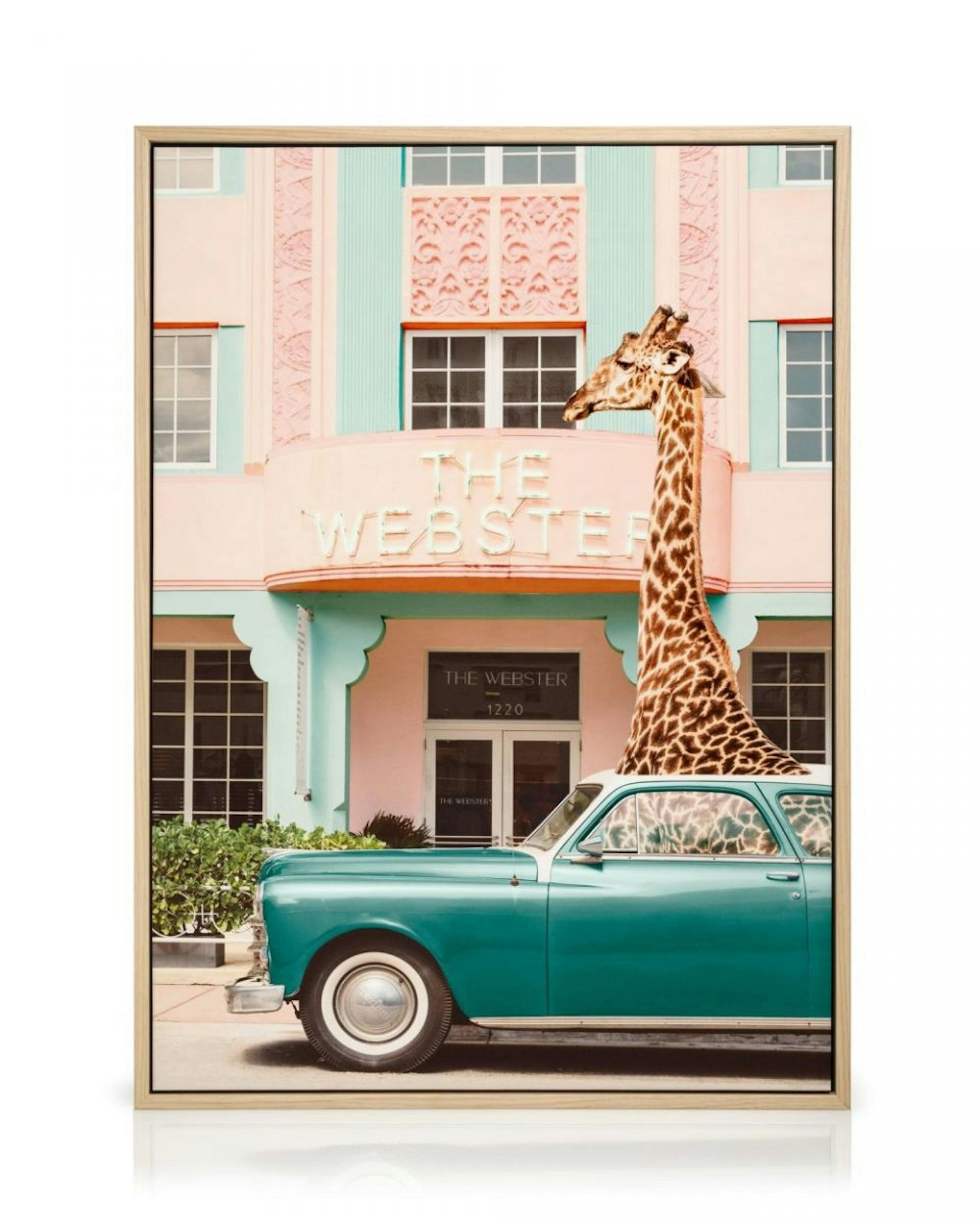 Giraffe Parking Stampa su Tela
