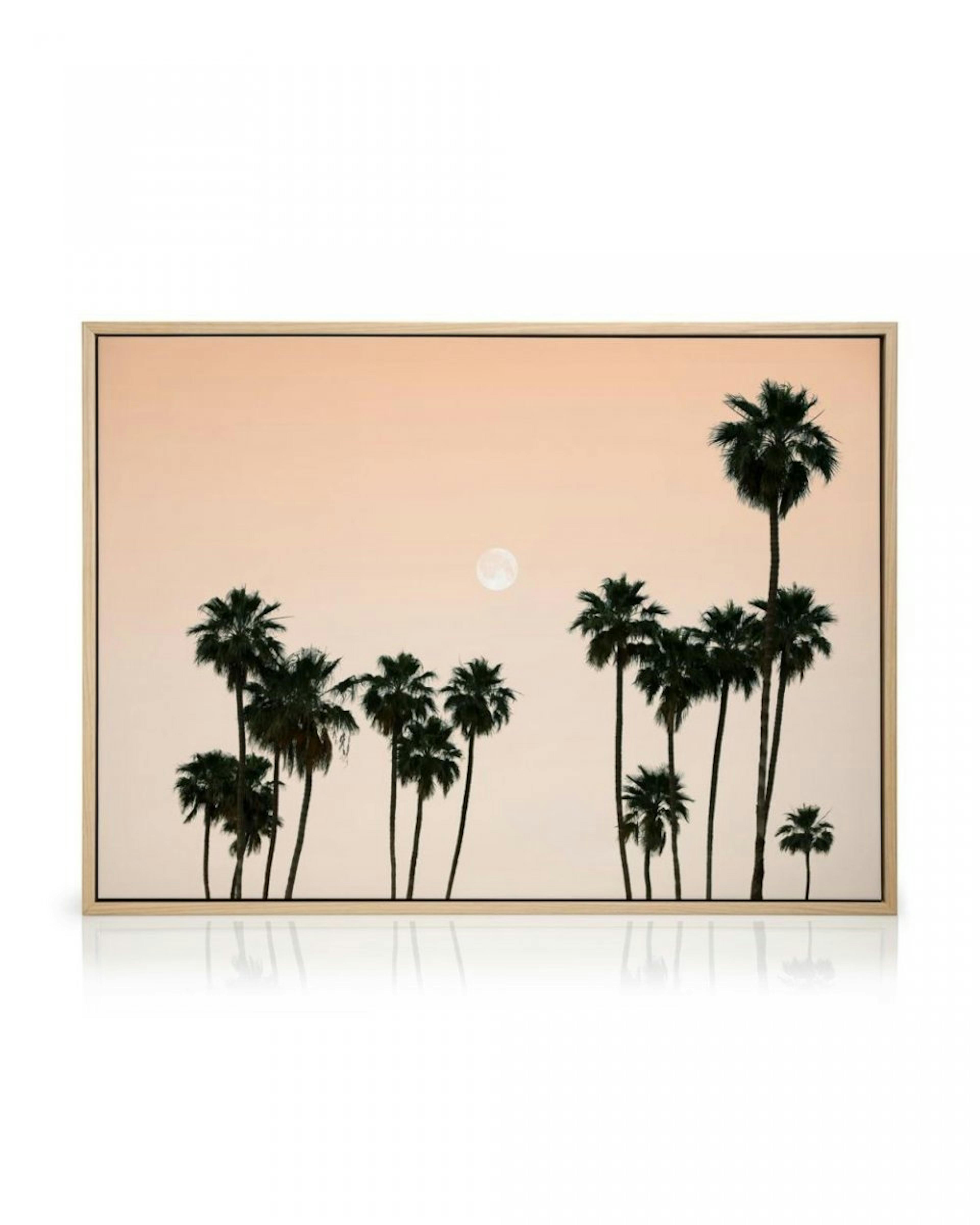 Palms in the Sky Toile