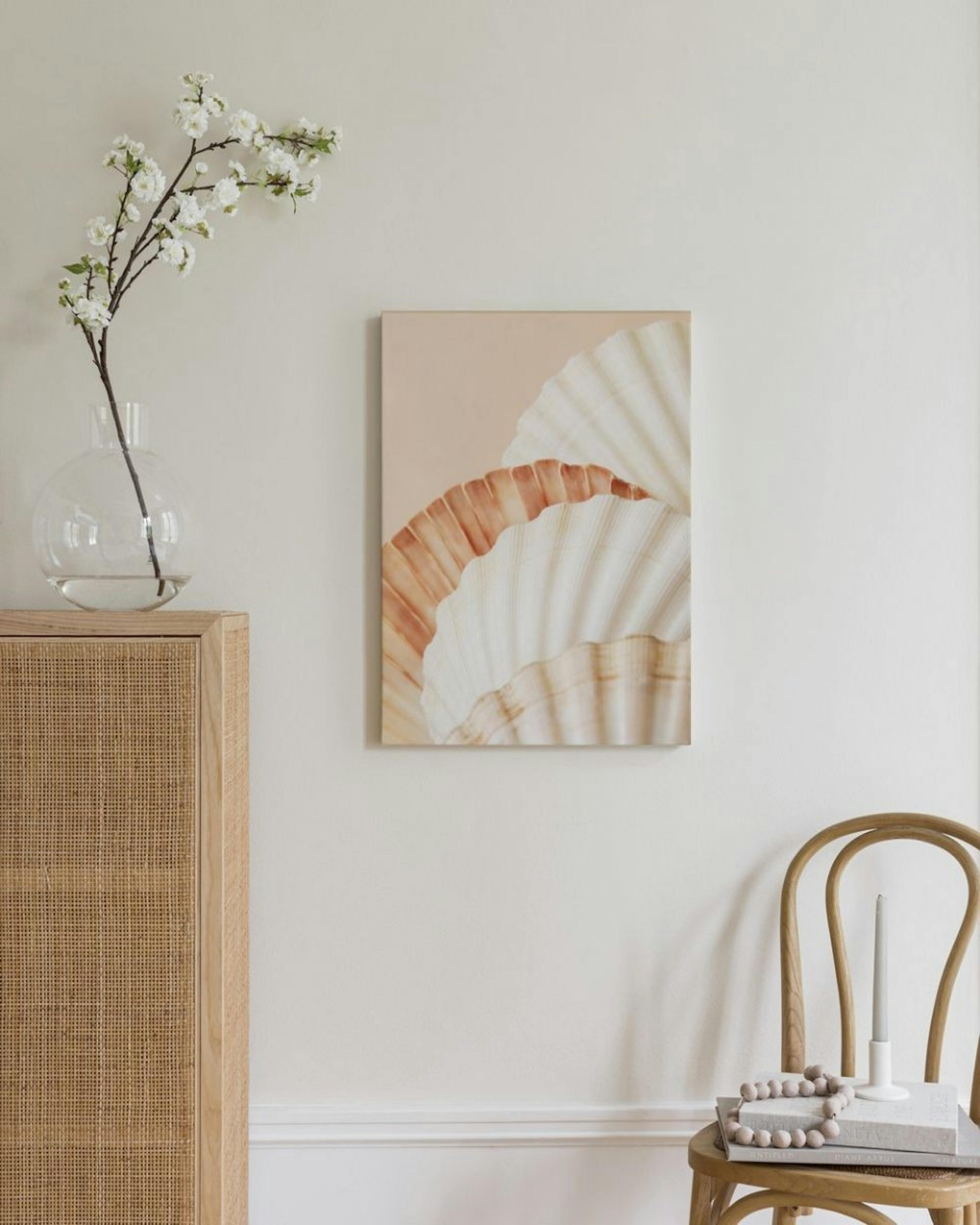 Shell Collection Canvas
