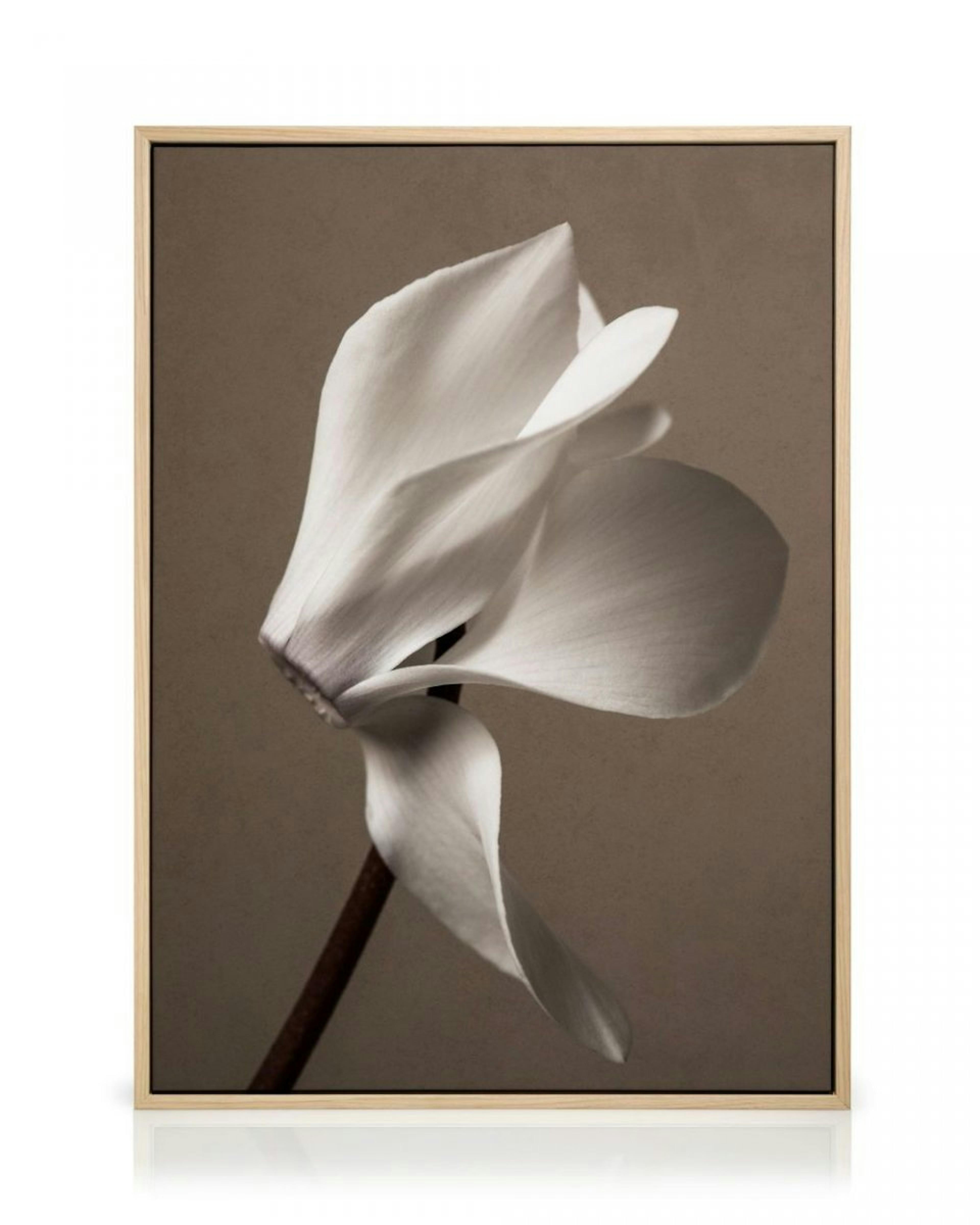 Elegant Blossom Canvas