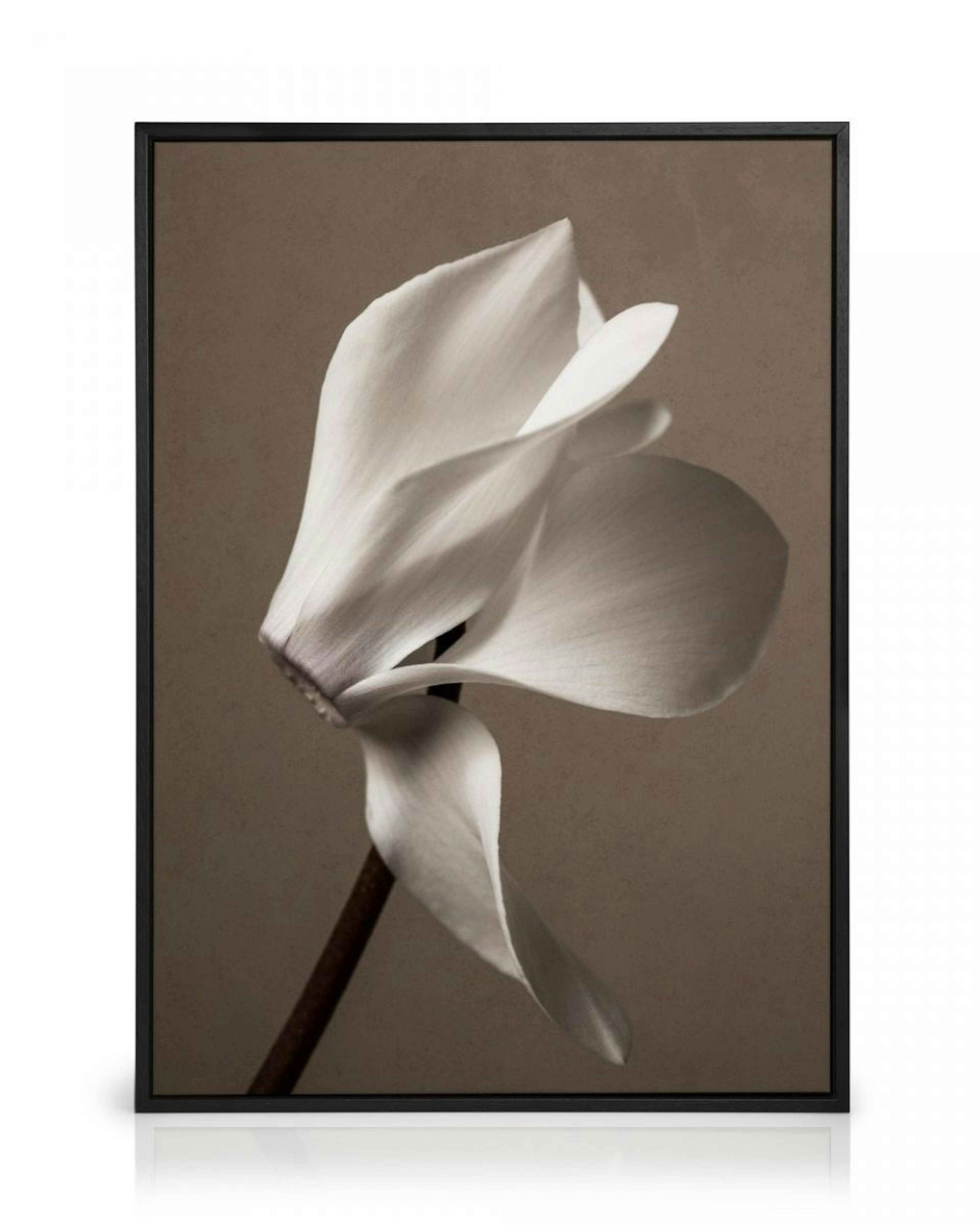 Elegant Blossom Canvas