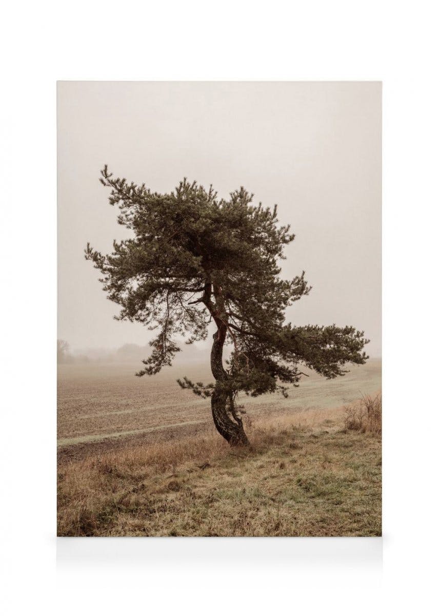 Canvastavlor Moody Tree Canvastavla (50x70 cm - Ekram)