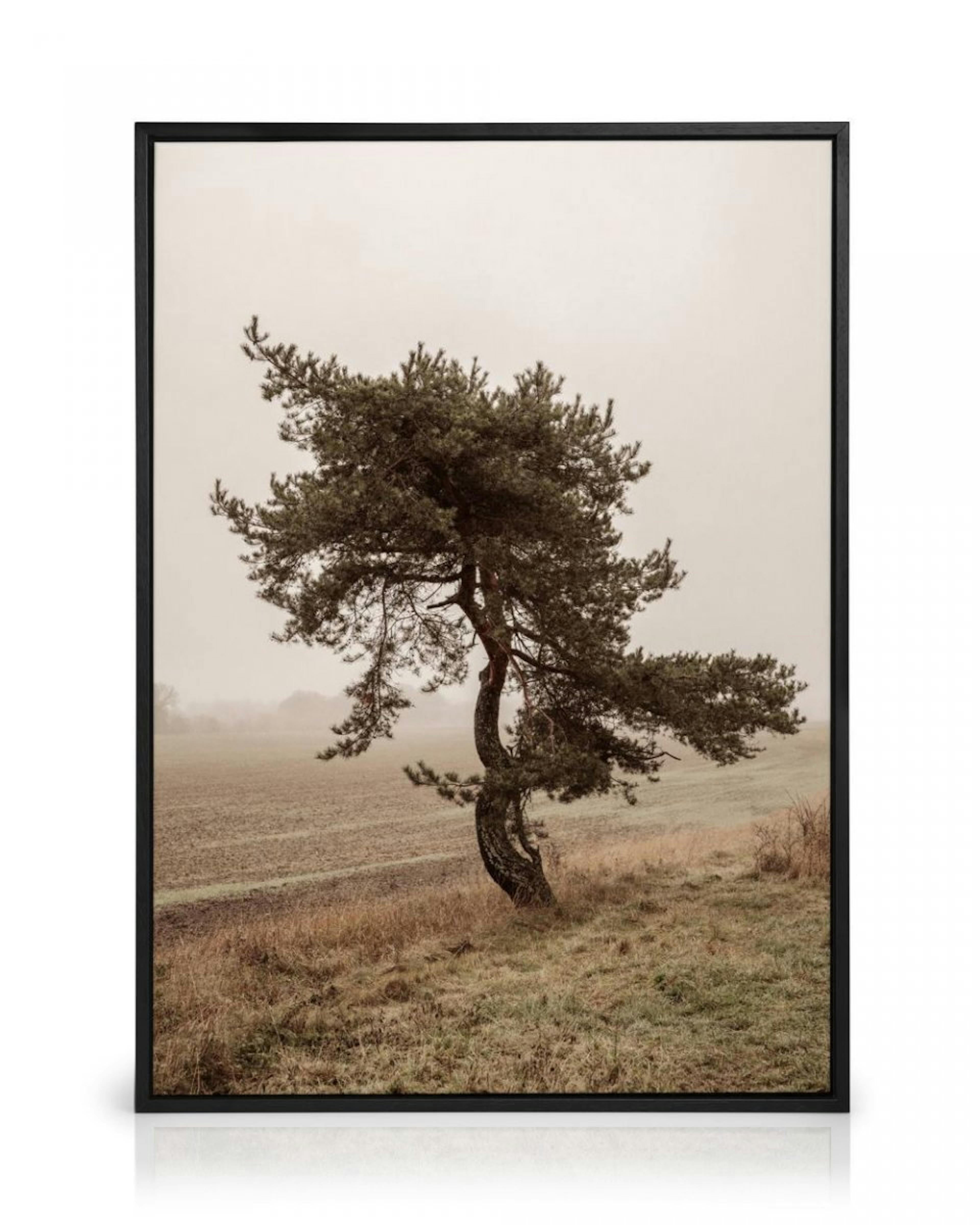 Moody Tree Canvas