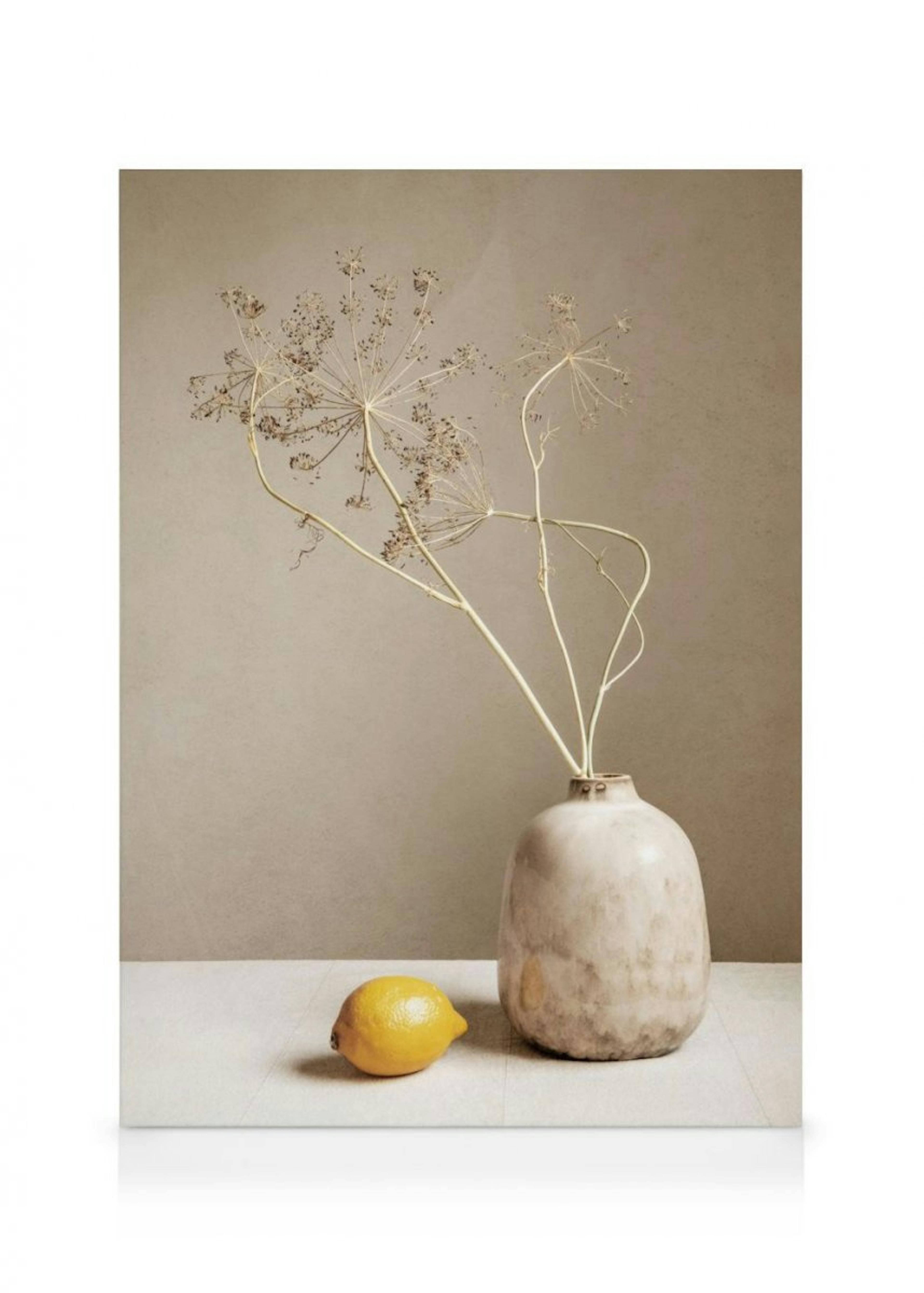 Lemon and Branches Canvas print