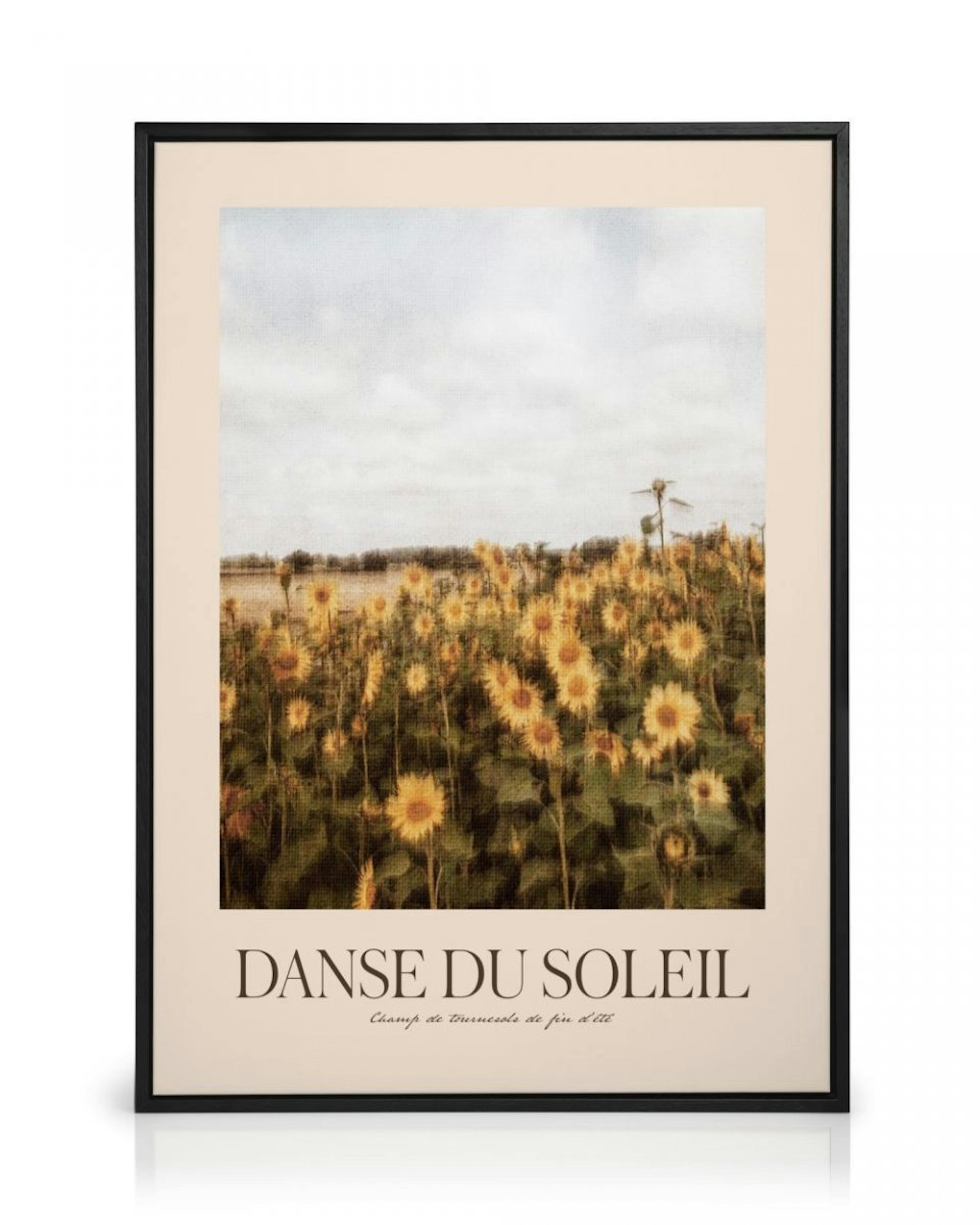 Sun Dance Canvas print