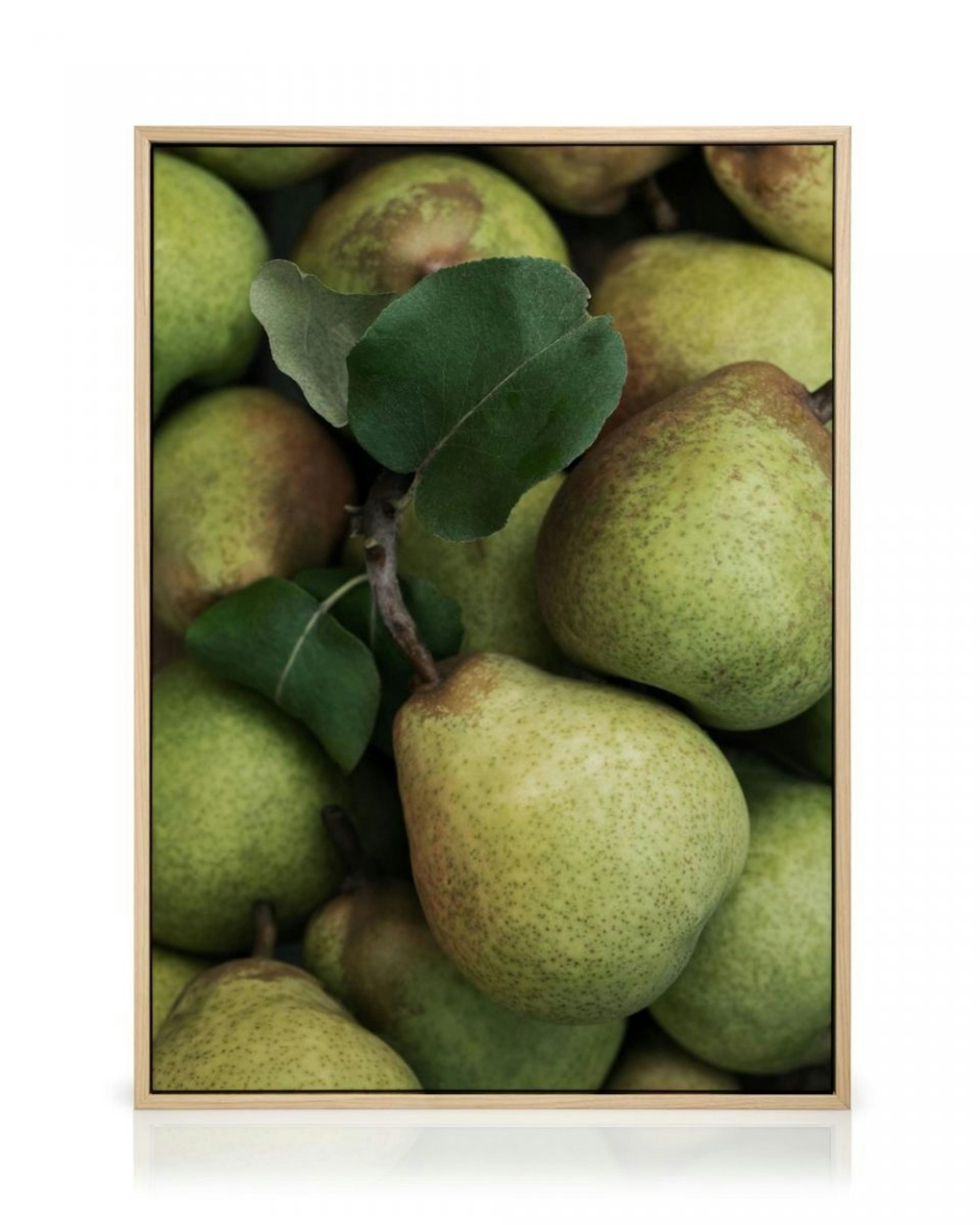 Closeup Pears Toile