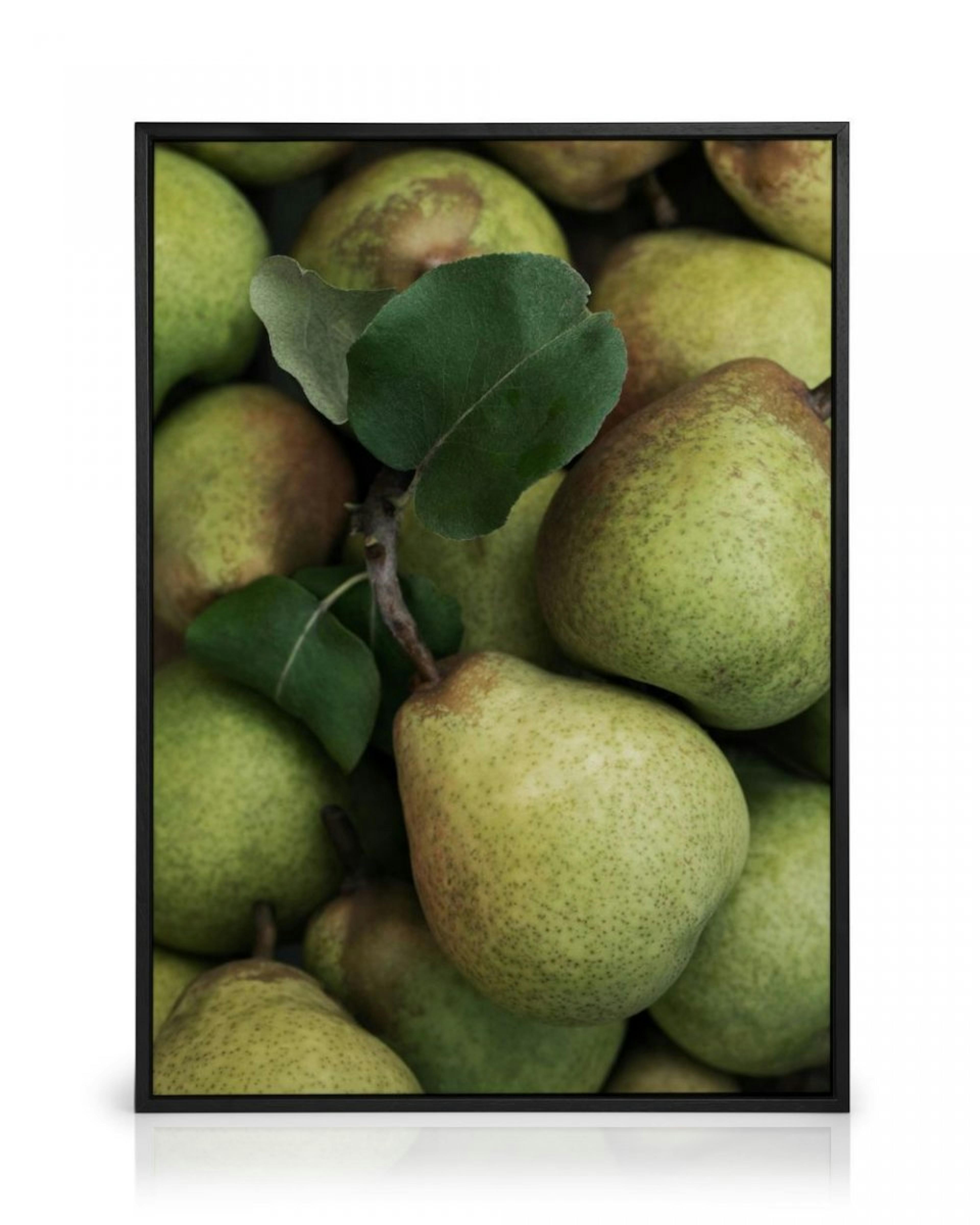 Closeup Pears Canvas print