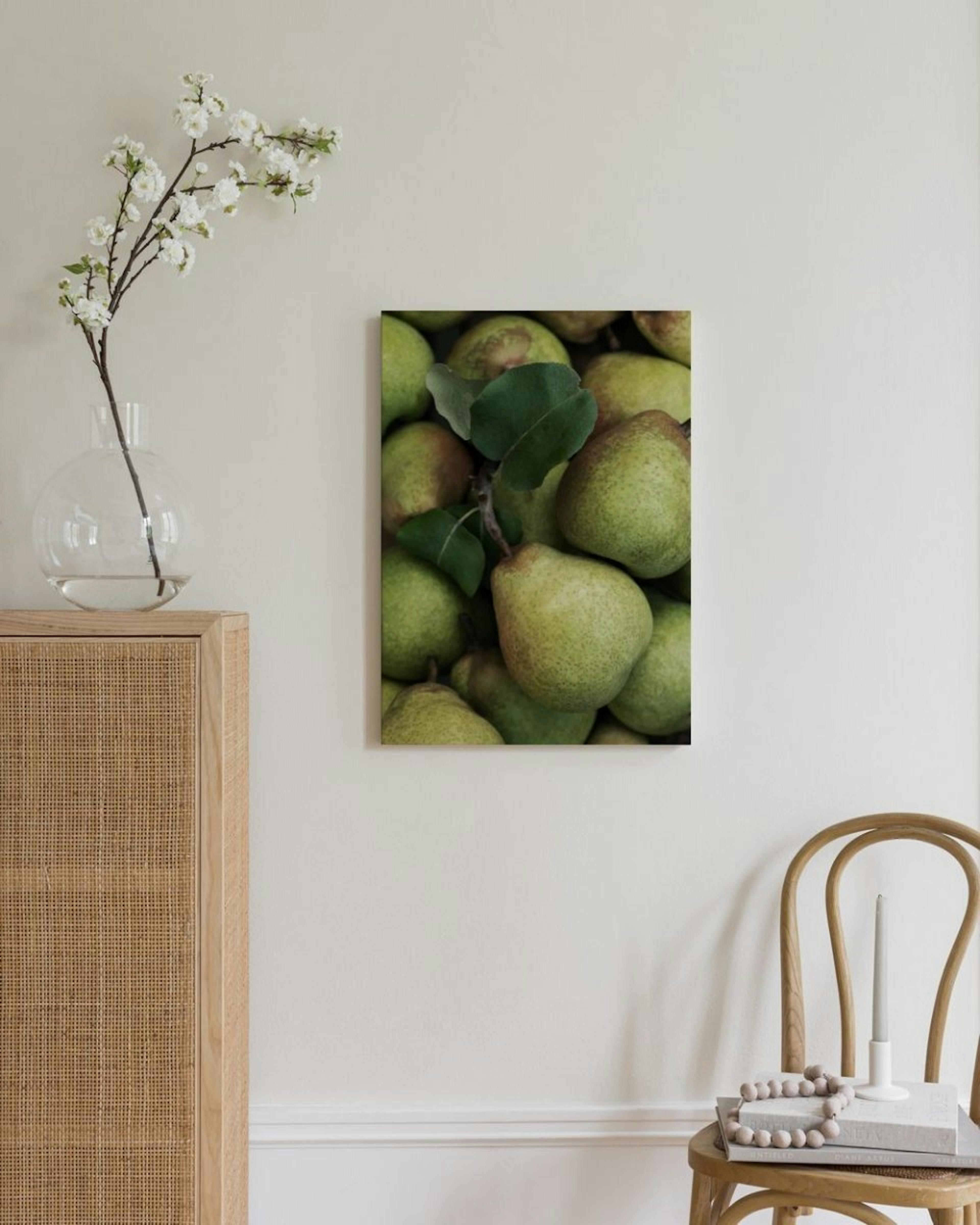 Closeup Pears Canvas