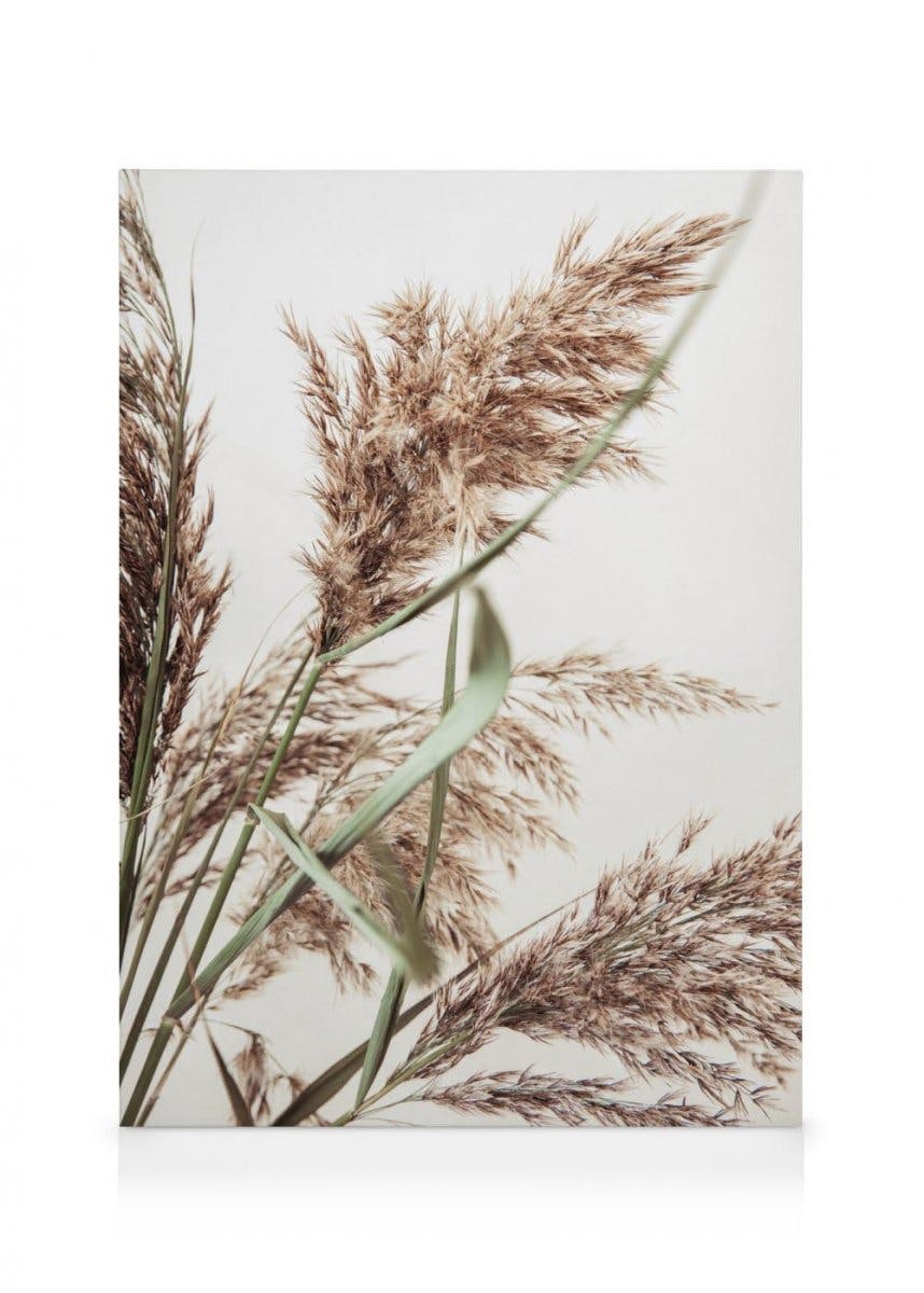 Canvas Prints Rustic Reed Canvas print (30x40 cm - Oak Frame)