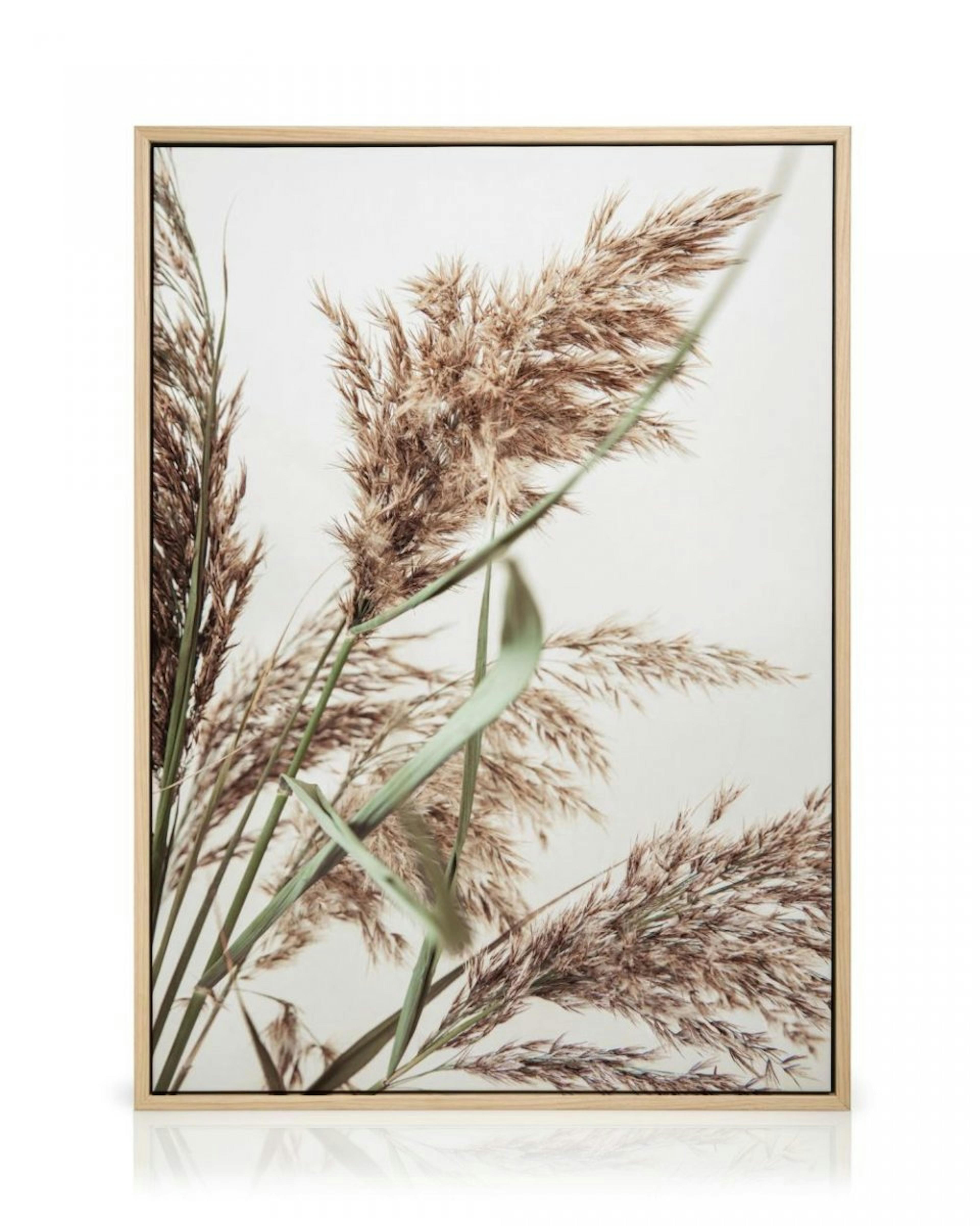 Rustic Reed Leinwandbild