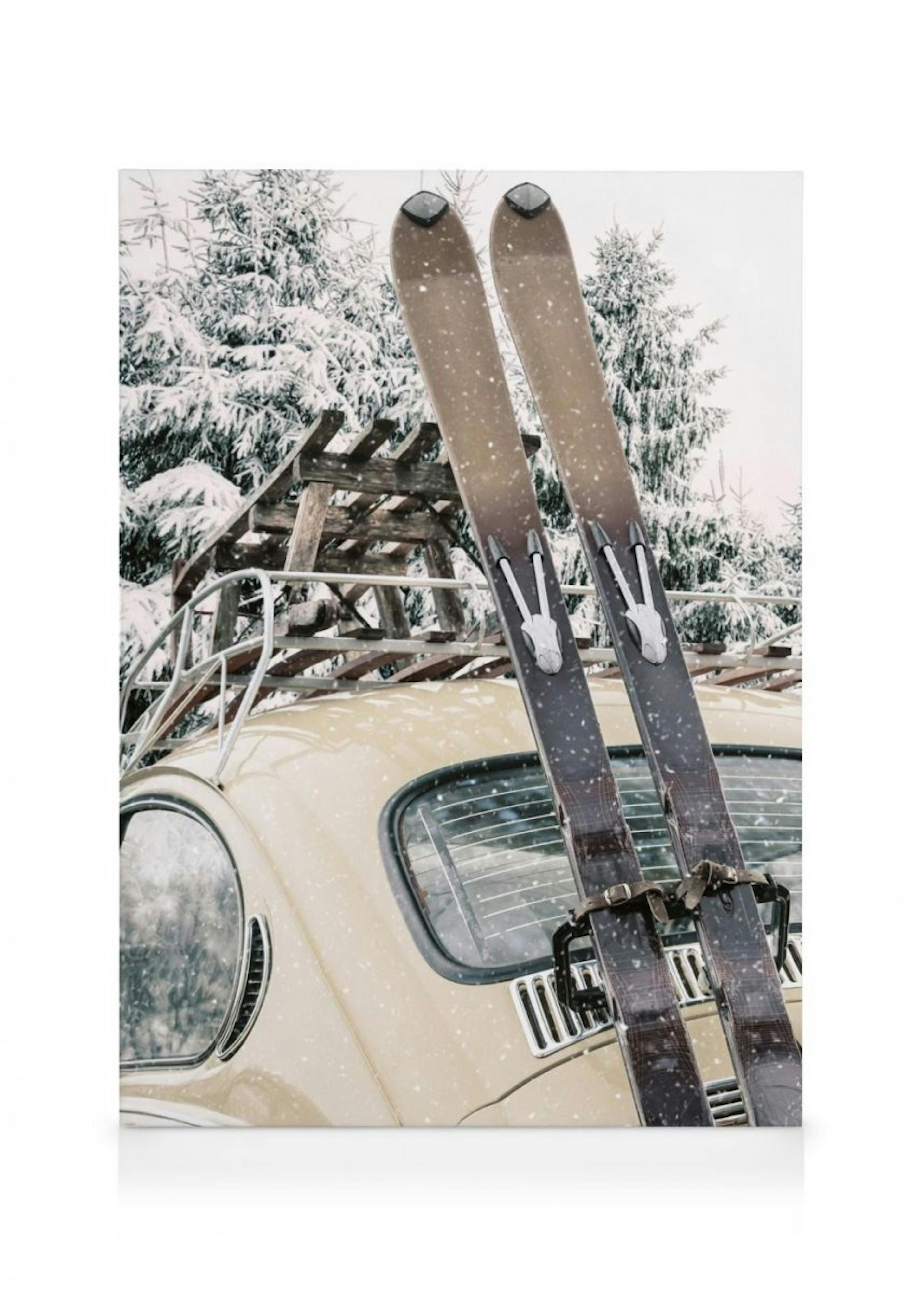 Skis and Snowfall Lienzo 0