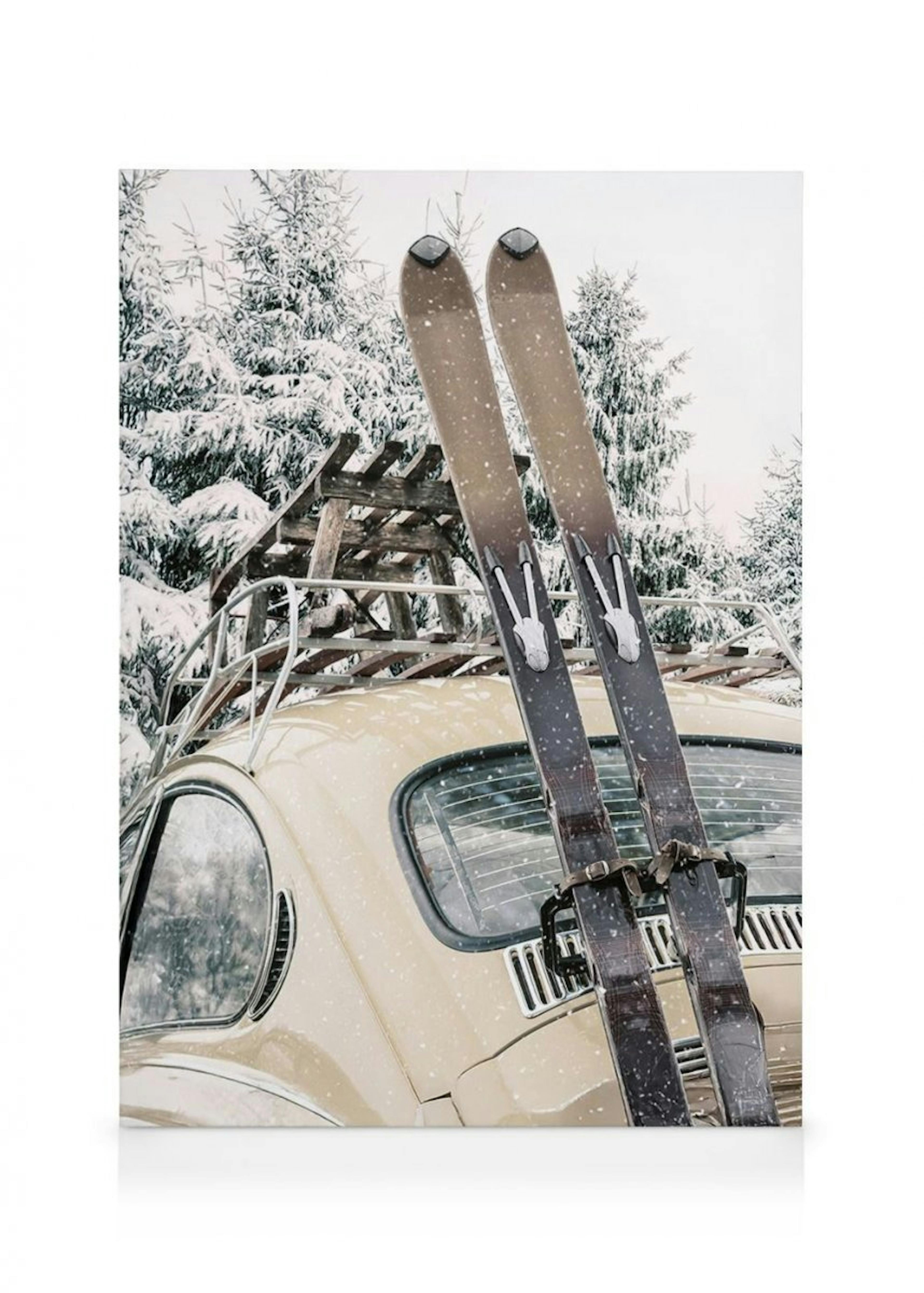 Skis and Snowfall Toile