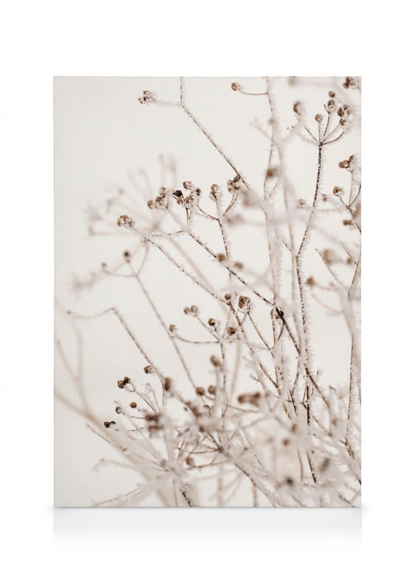 Canvas Schilderijen Winter Botanical Canvas (50x70 cm - Fotolijst Eiken)