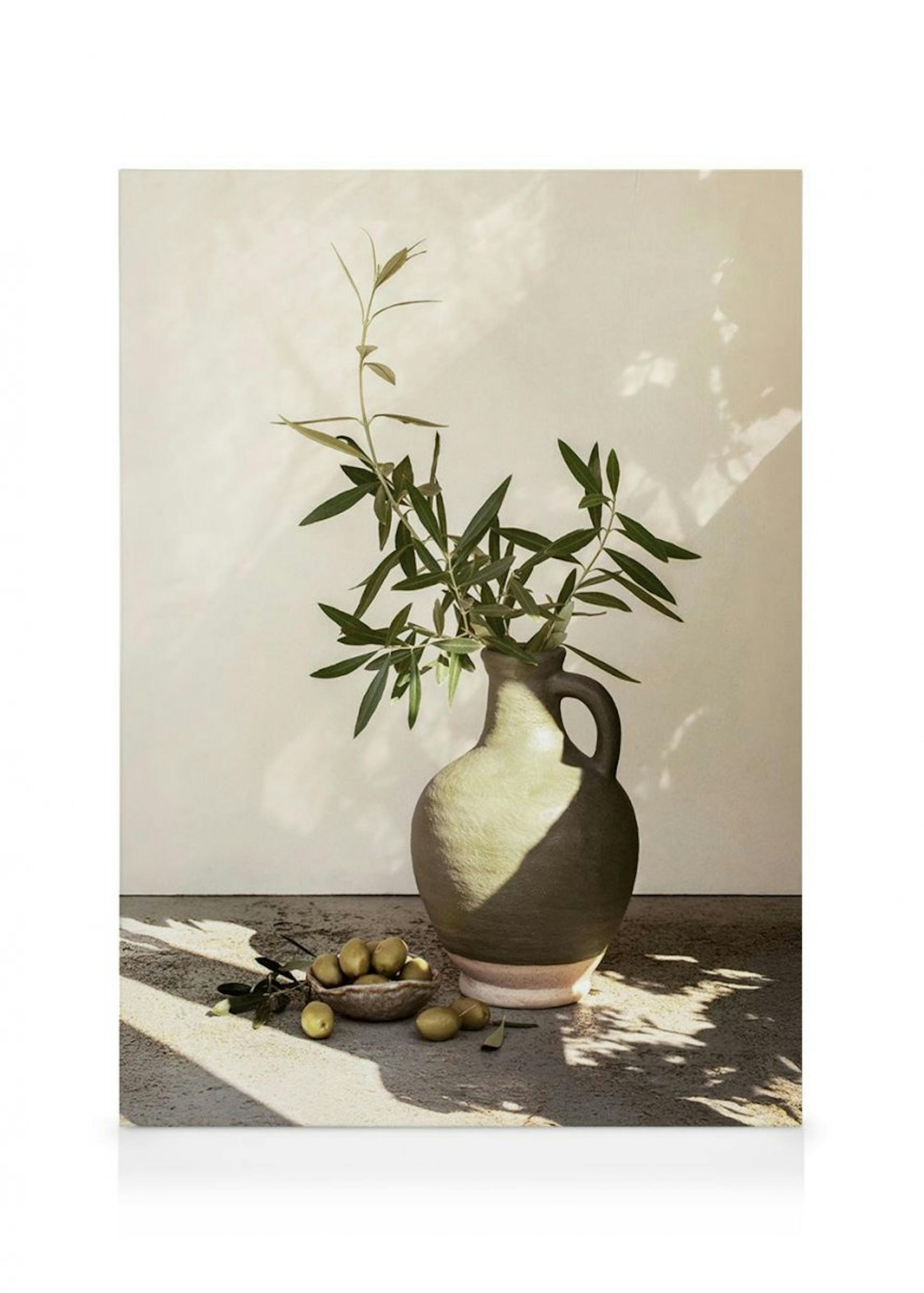 Sunlit Olives Canvas 0