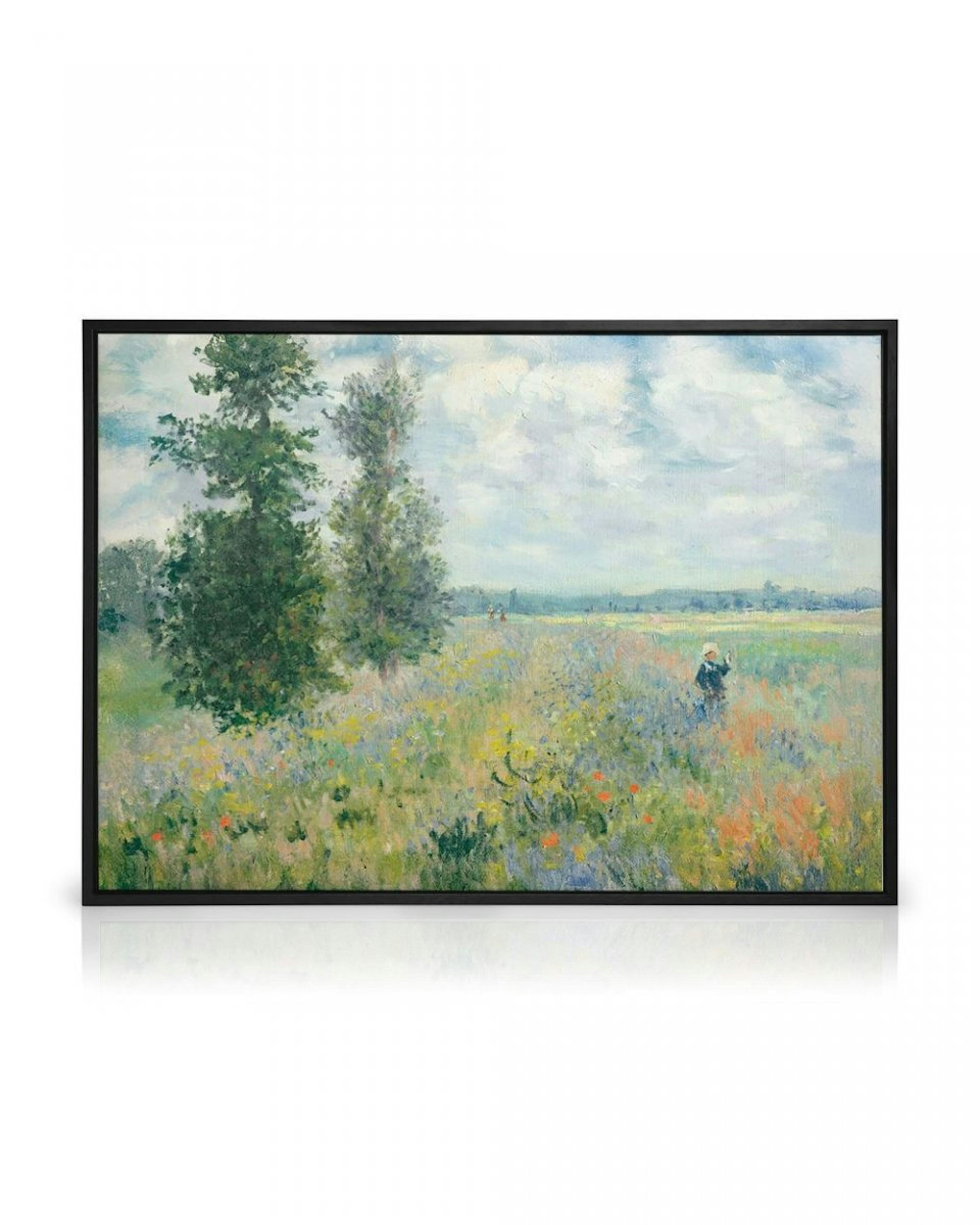 Monet - Poppy Fields Near Argenteuil Landscape Canvas print