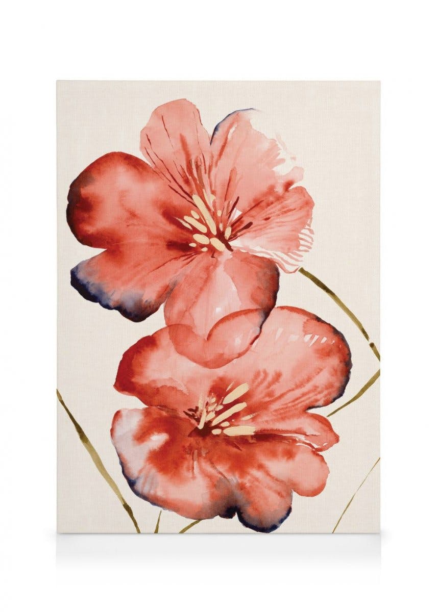 Canvas Prints Soft Red Flowers Canvas print (30x40 cm - Oak Frame)