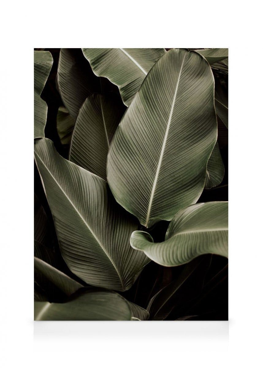 Canvas Schilderijen Green Symphony Canvas (70x100 cm)