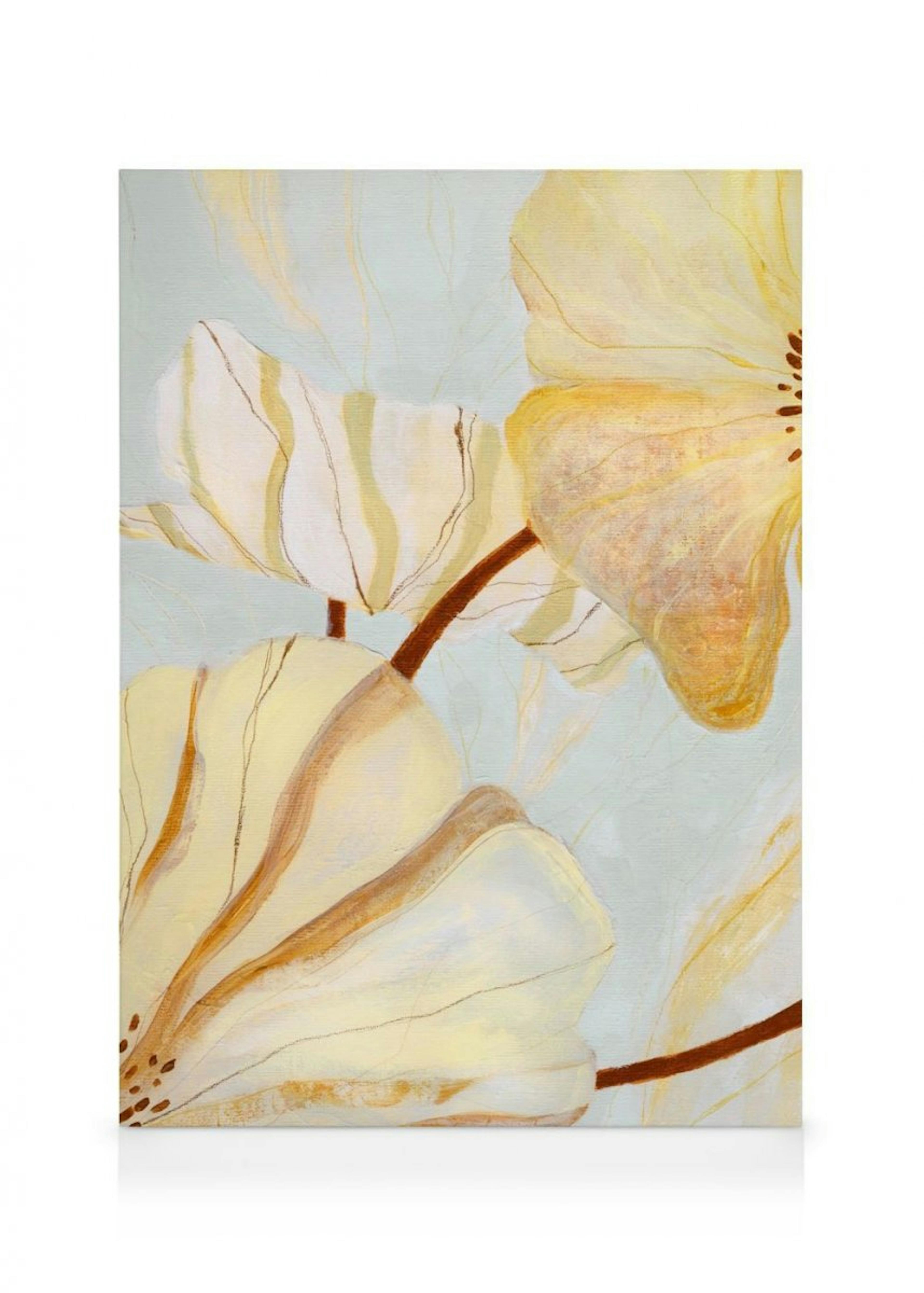 Abstract Blossoms Toile 0