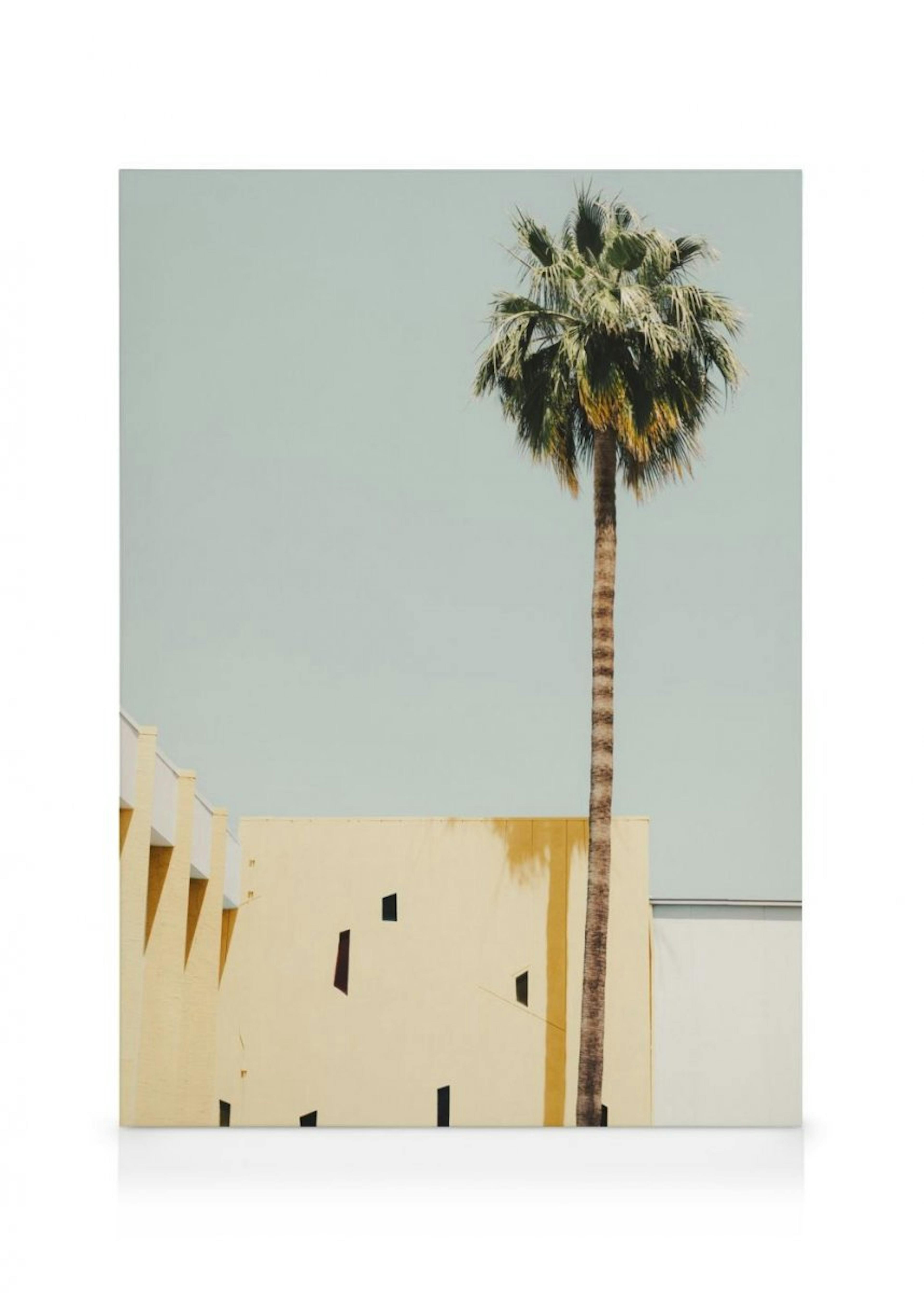 Palm Springs Serenity Toile 0