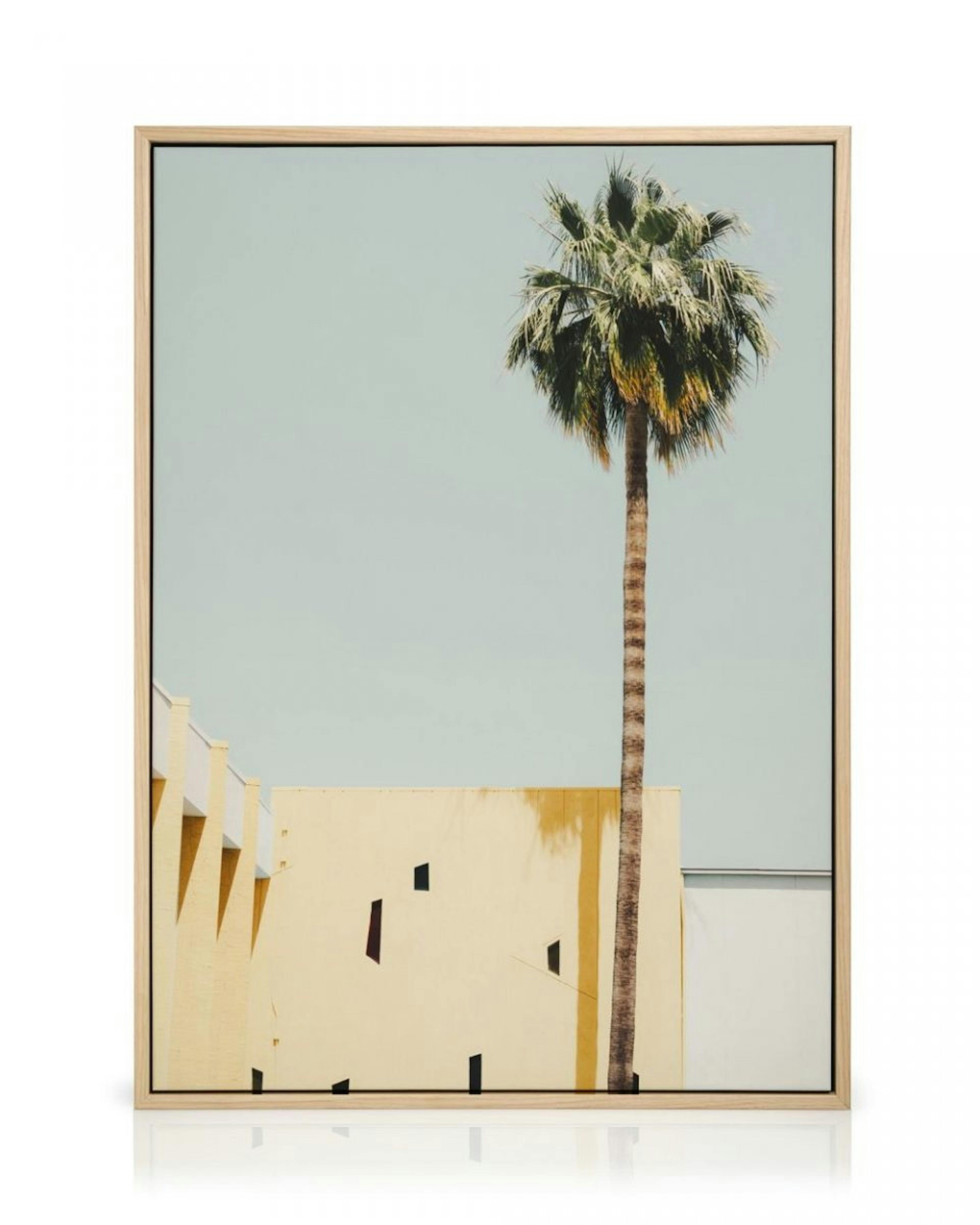 Palm Springs Serenity Toile