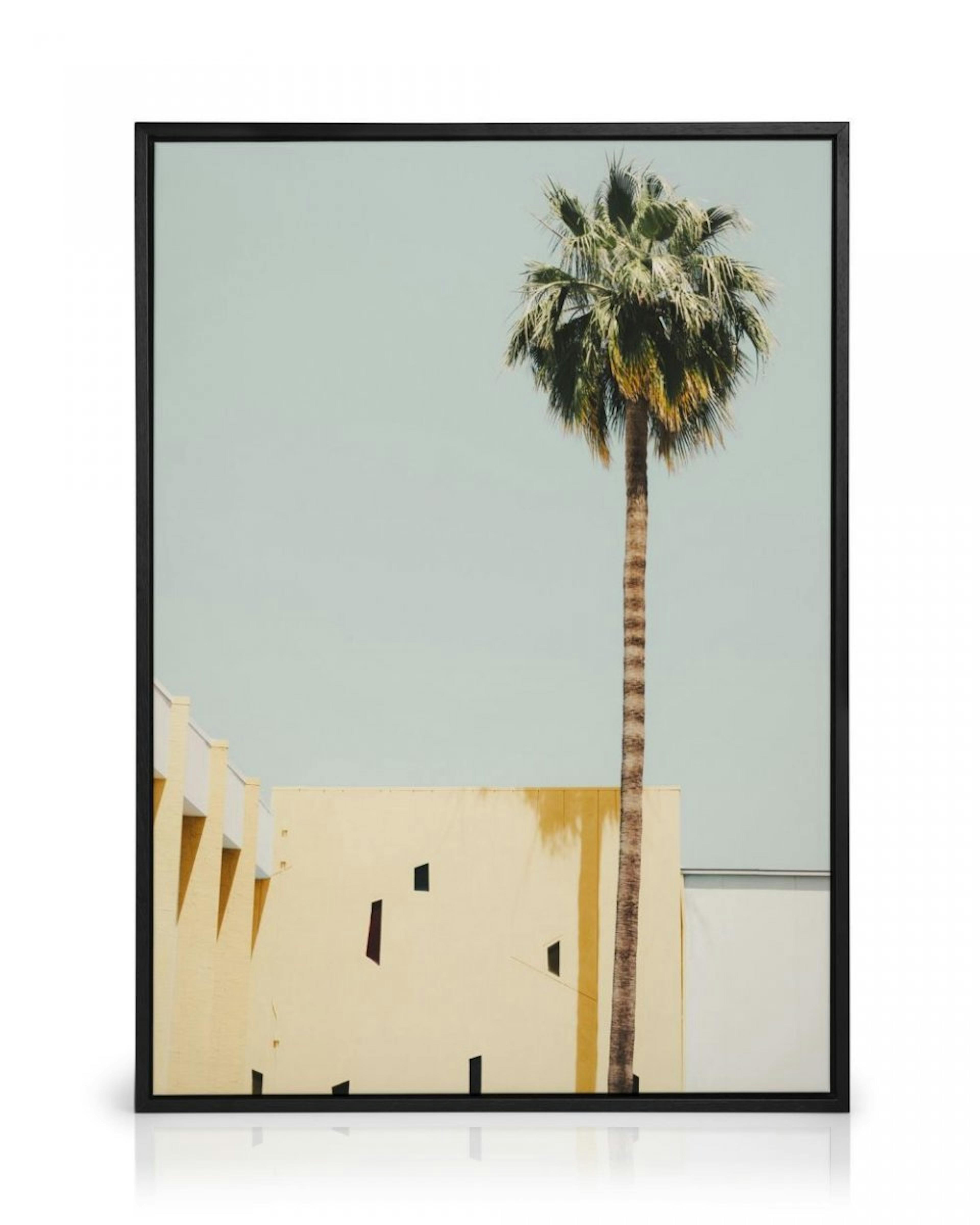 Palm Springs Serenity Toile