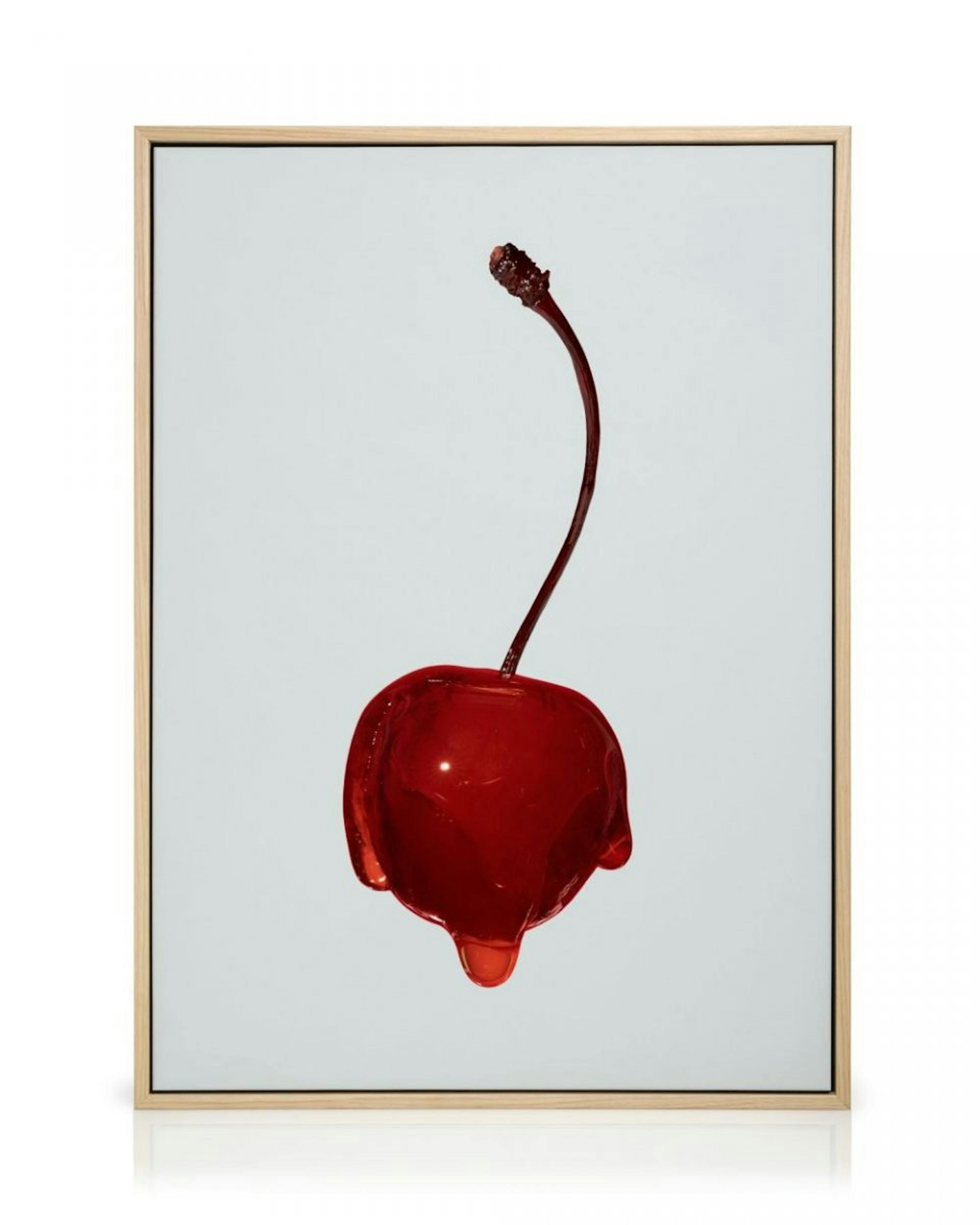 Juicy Cherry Toile