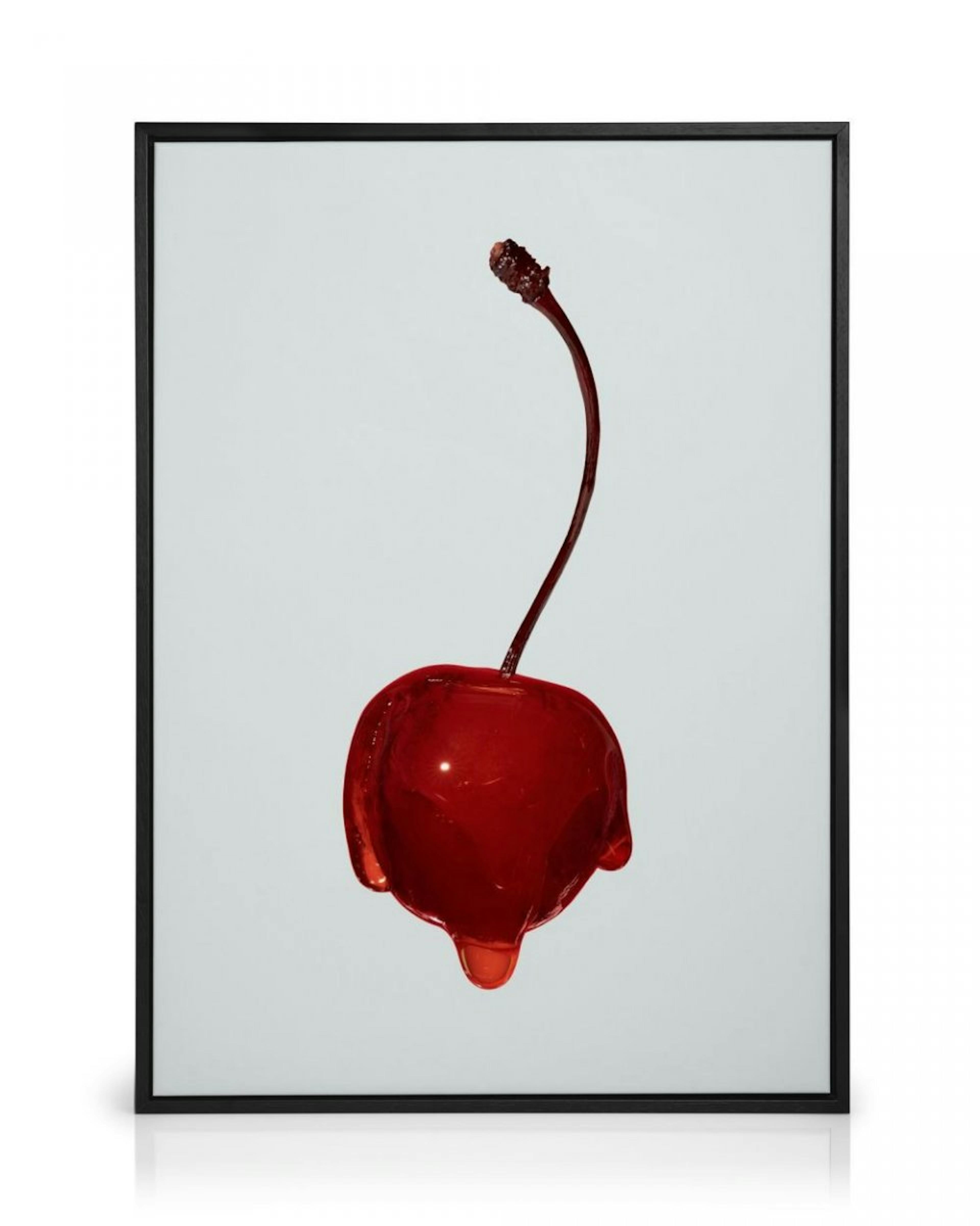 Juicy Cherry Toile