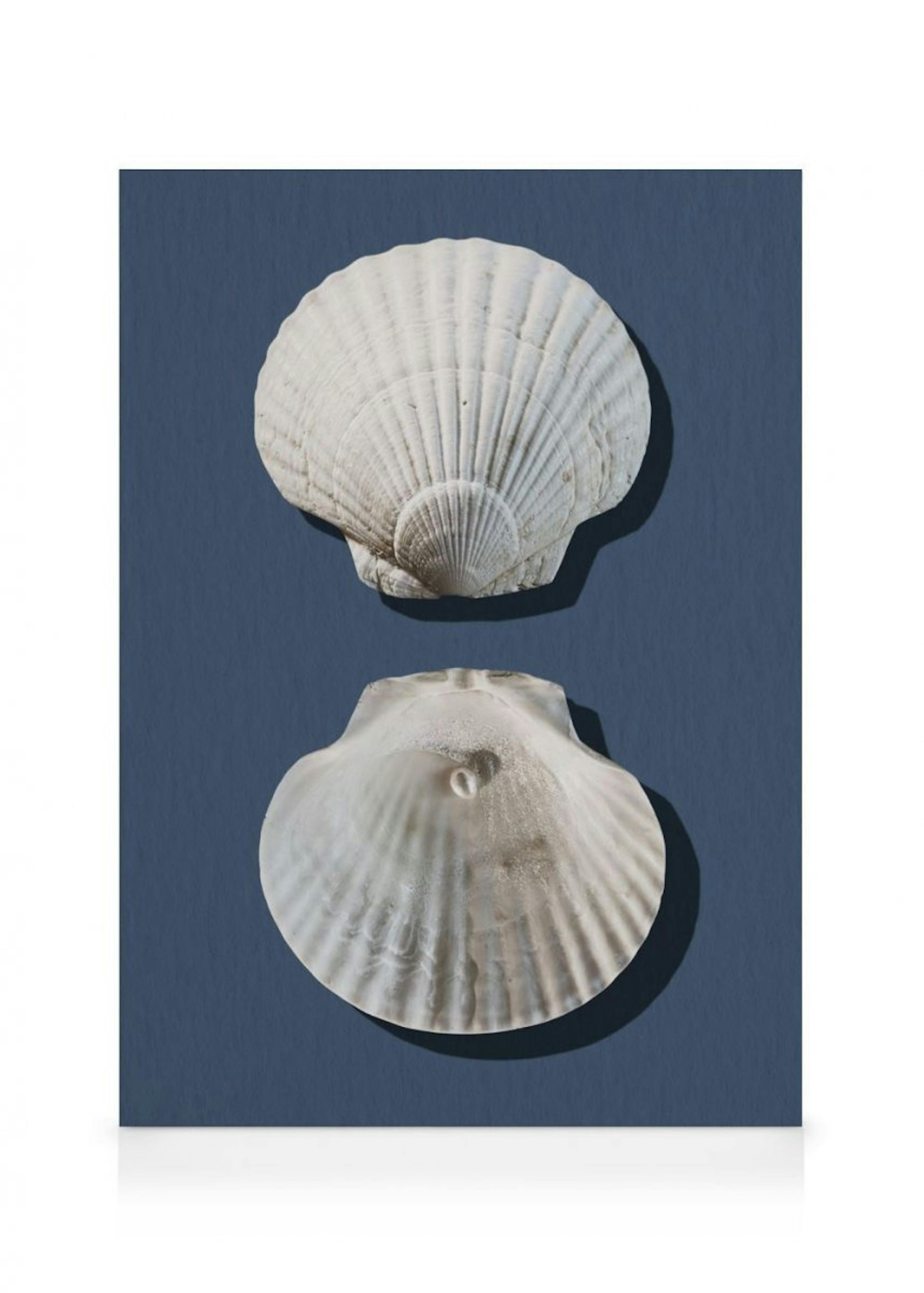 Sea Treasures Toile 0