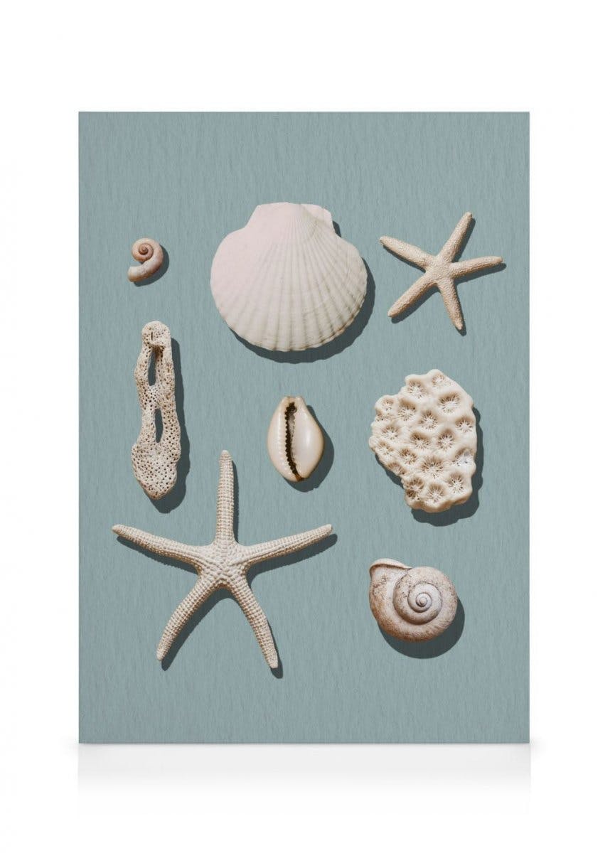 Marine Memories Stampa su Tela (100x140 cm)- Foto d'arte