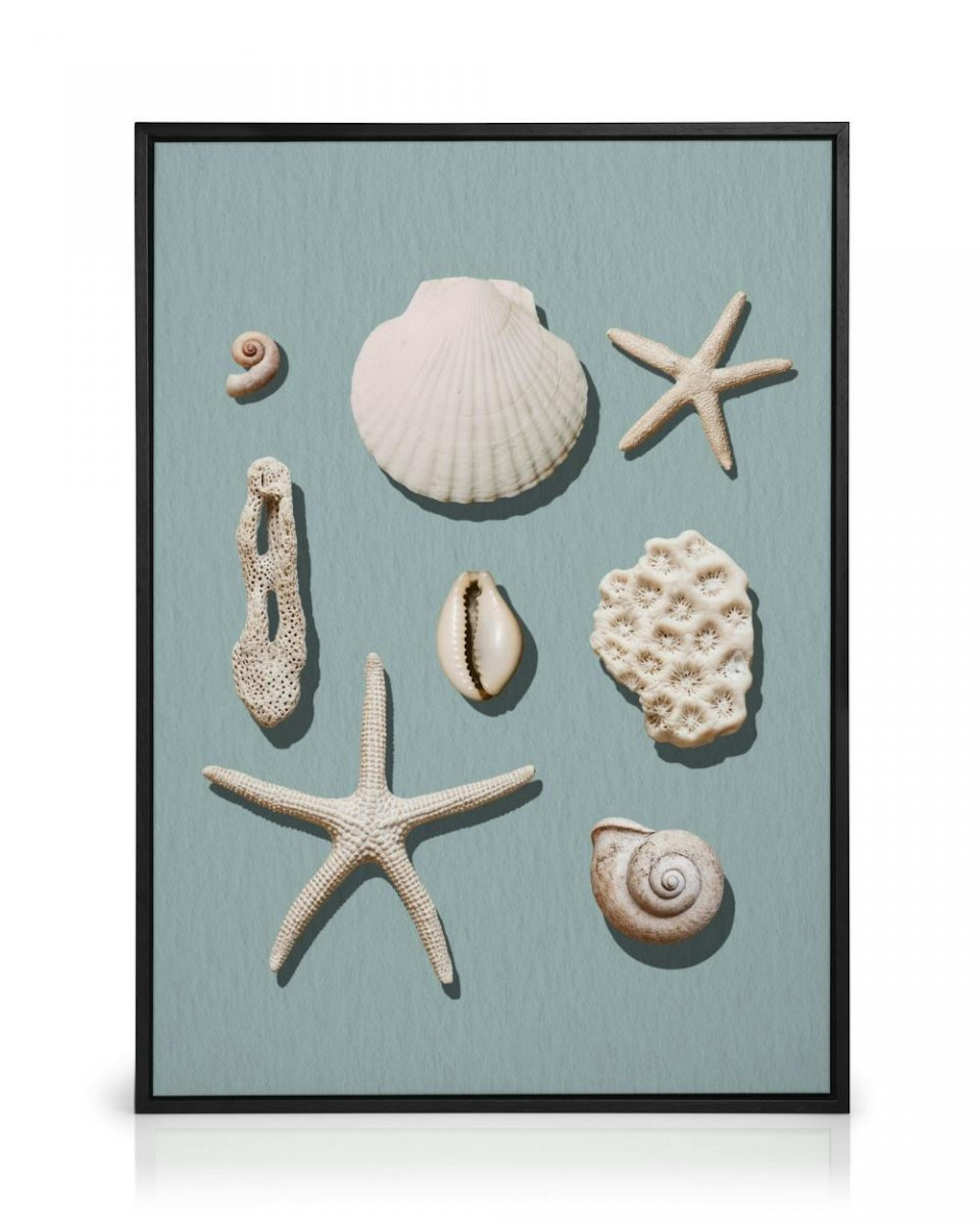 Marine Memories Toile