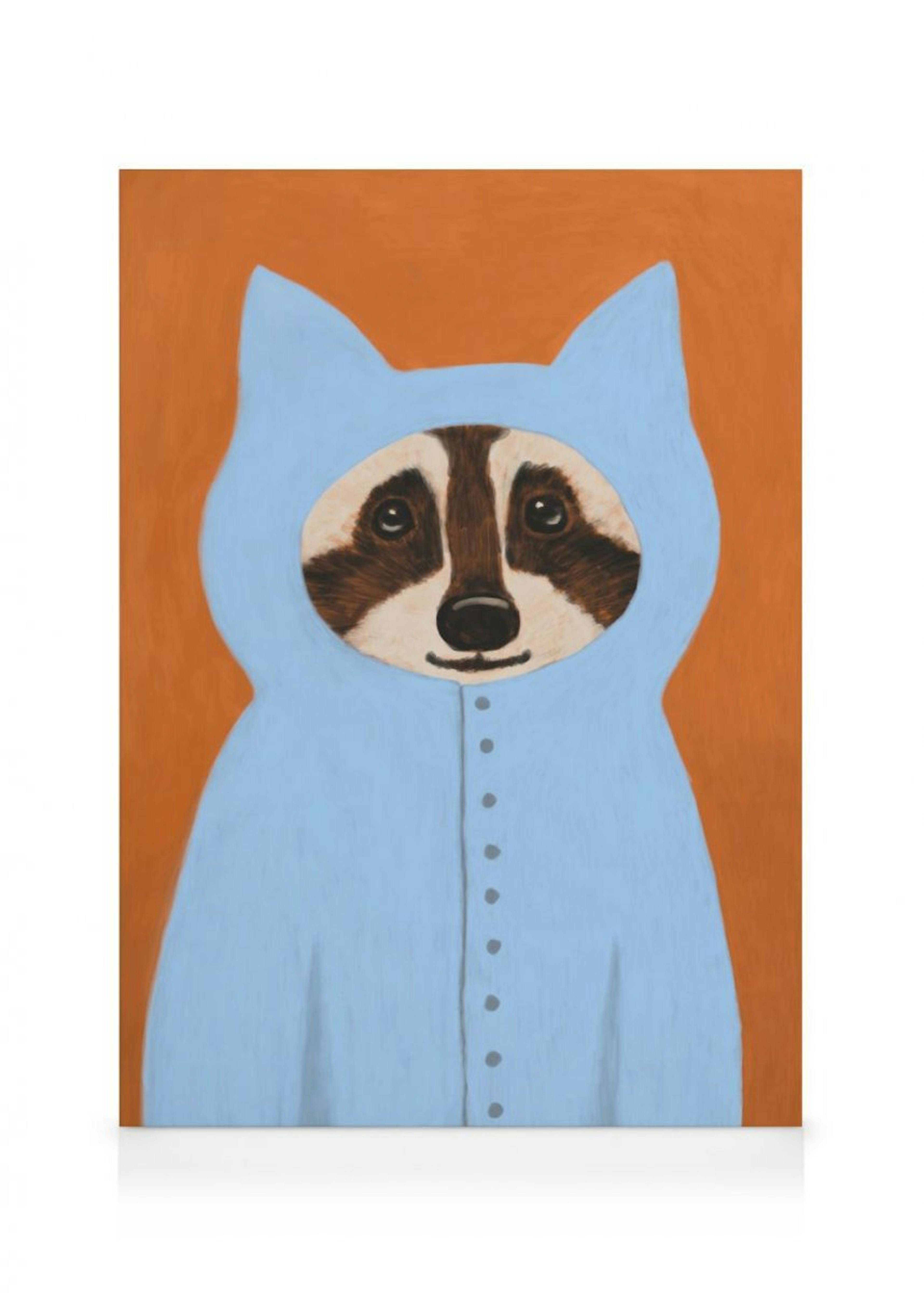 Racoon Toile 0