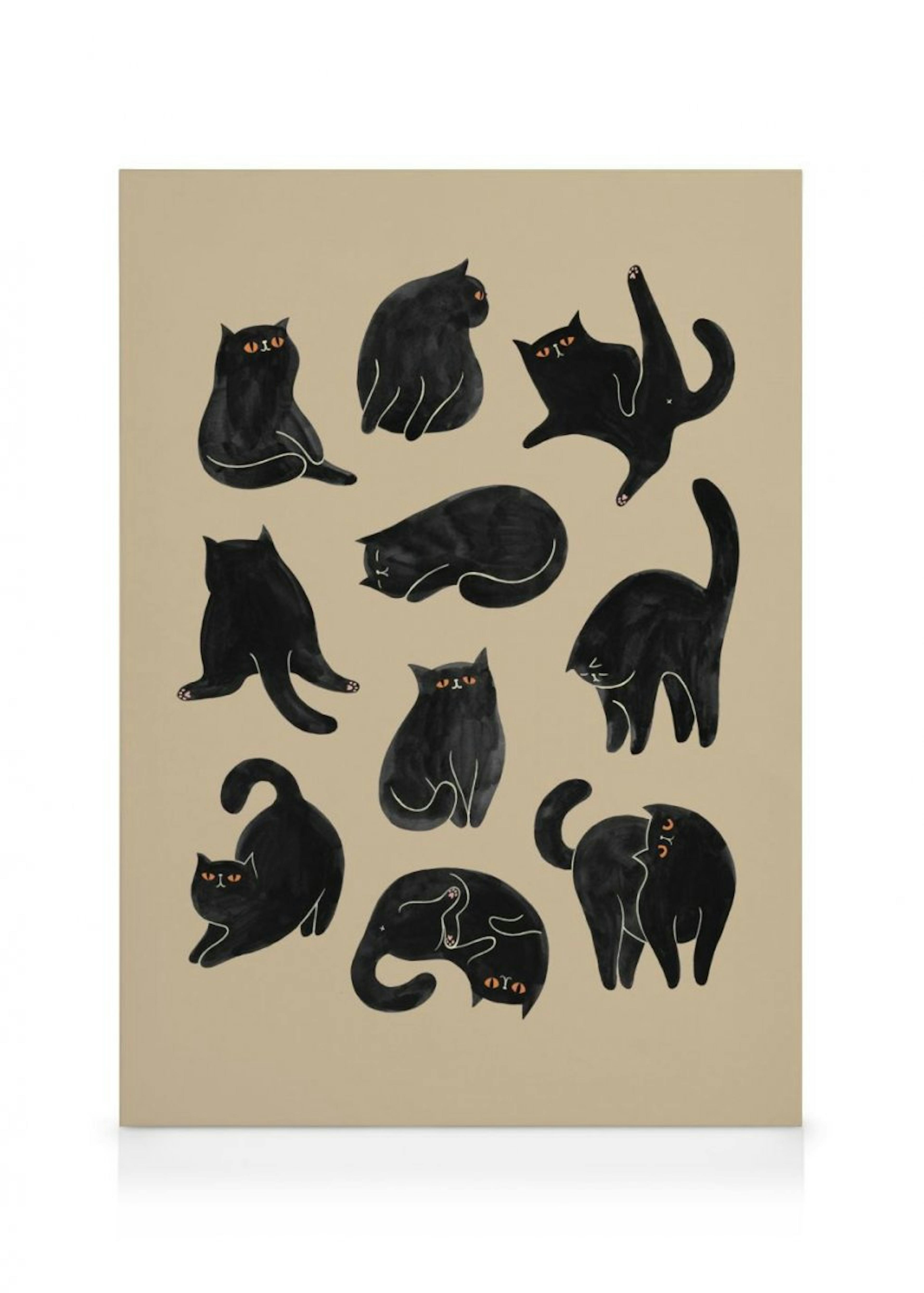 Kitty Yoga Toile 0