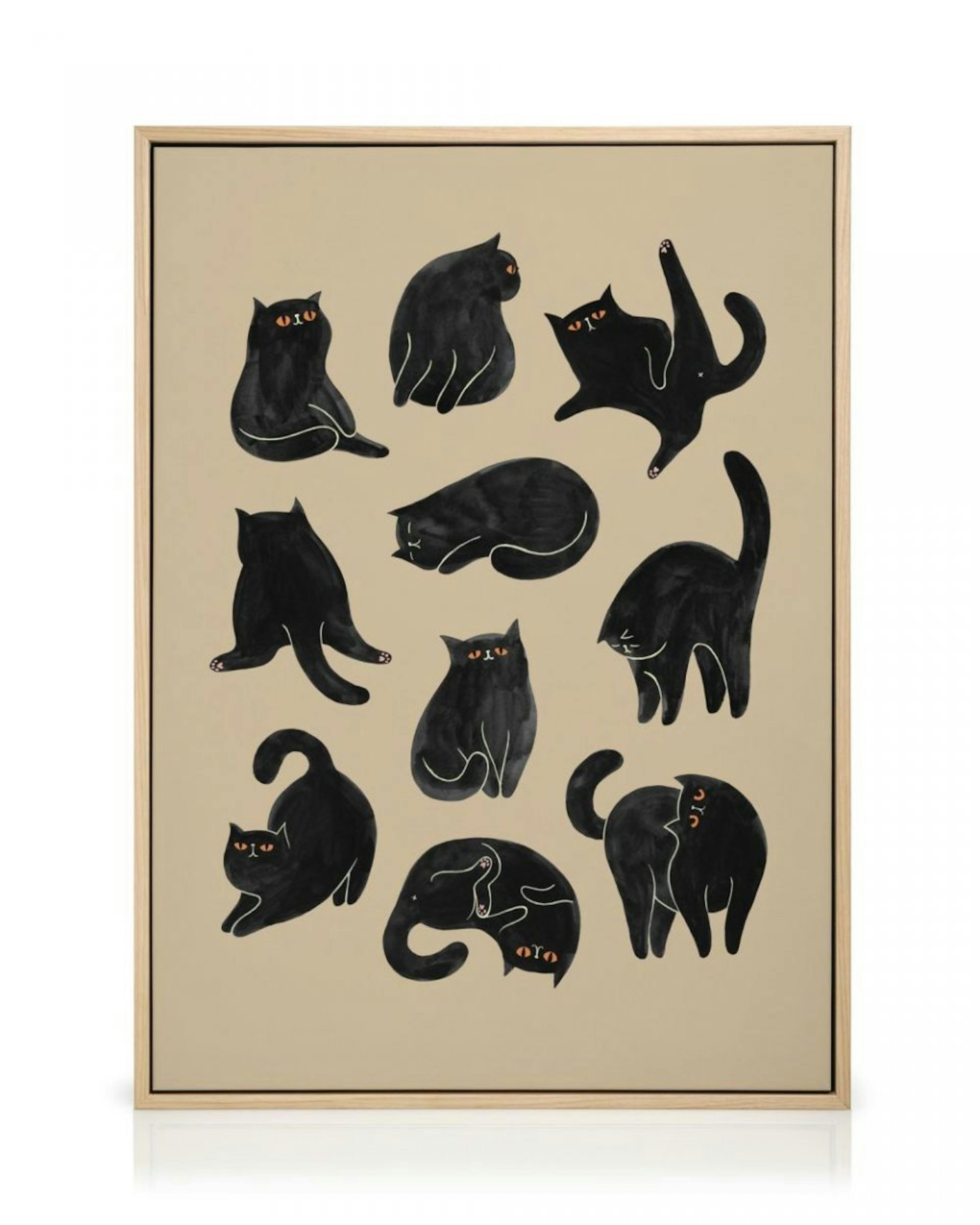 Kitty Yoga Toile