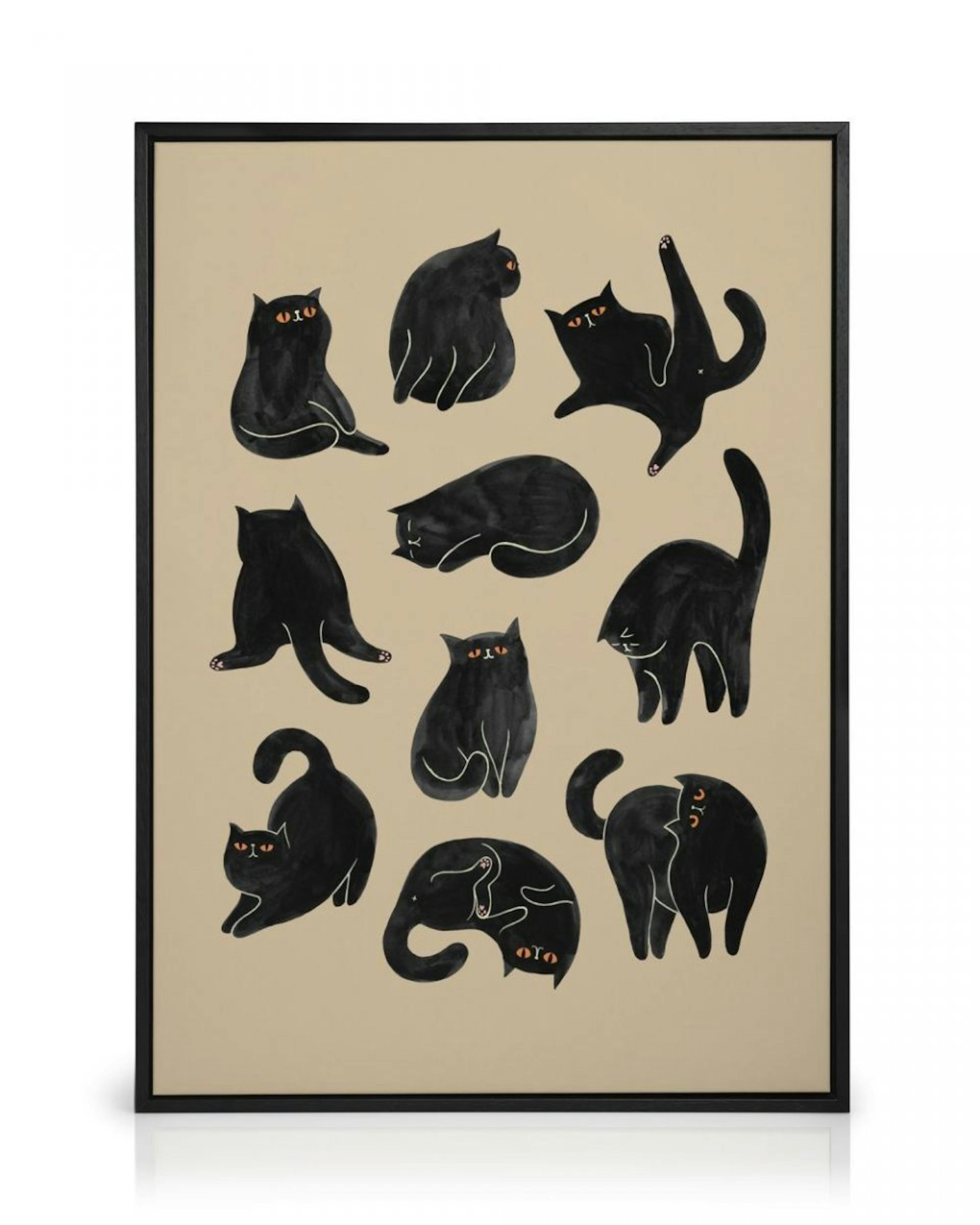 Kitty Yoga Toile