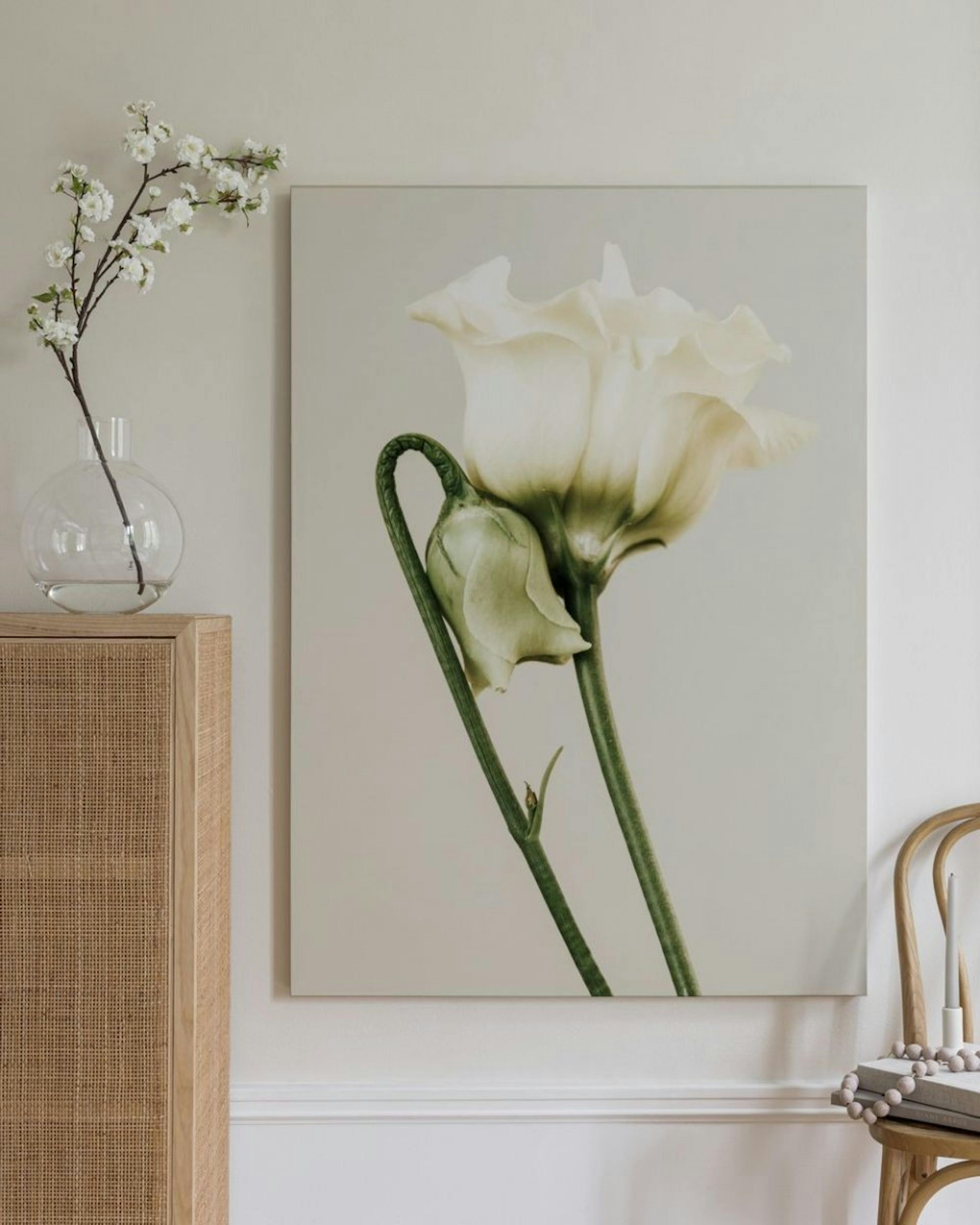 White Lisianthus Canvas