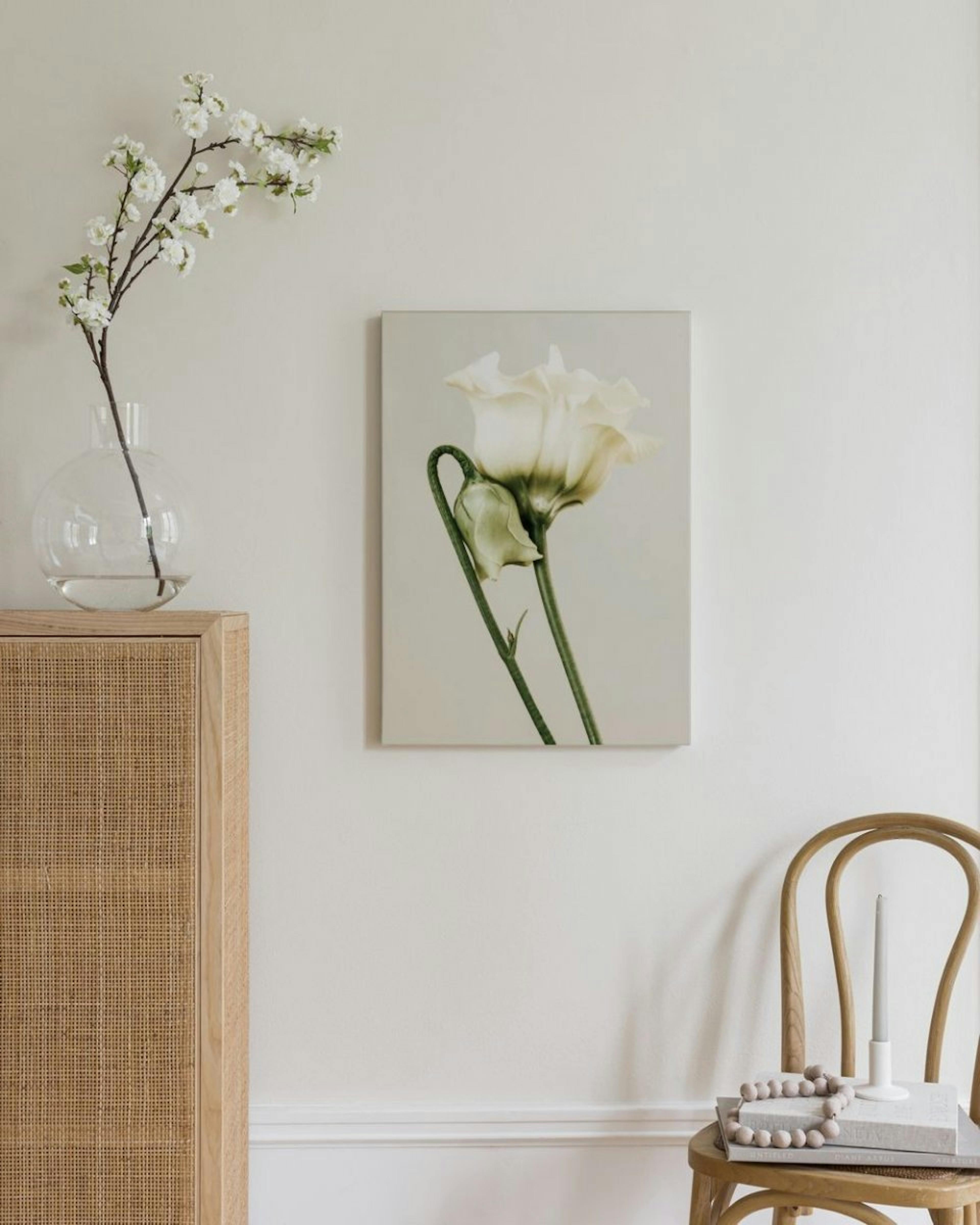 White Lisianthus Canvas