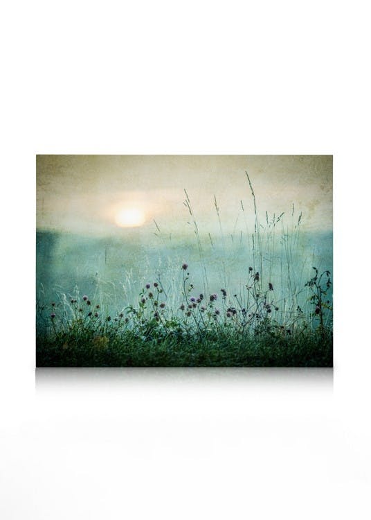 Obrazy na płótnie Meadow In Dawn Obraz na płótnie (30x40 cm)