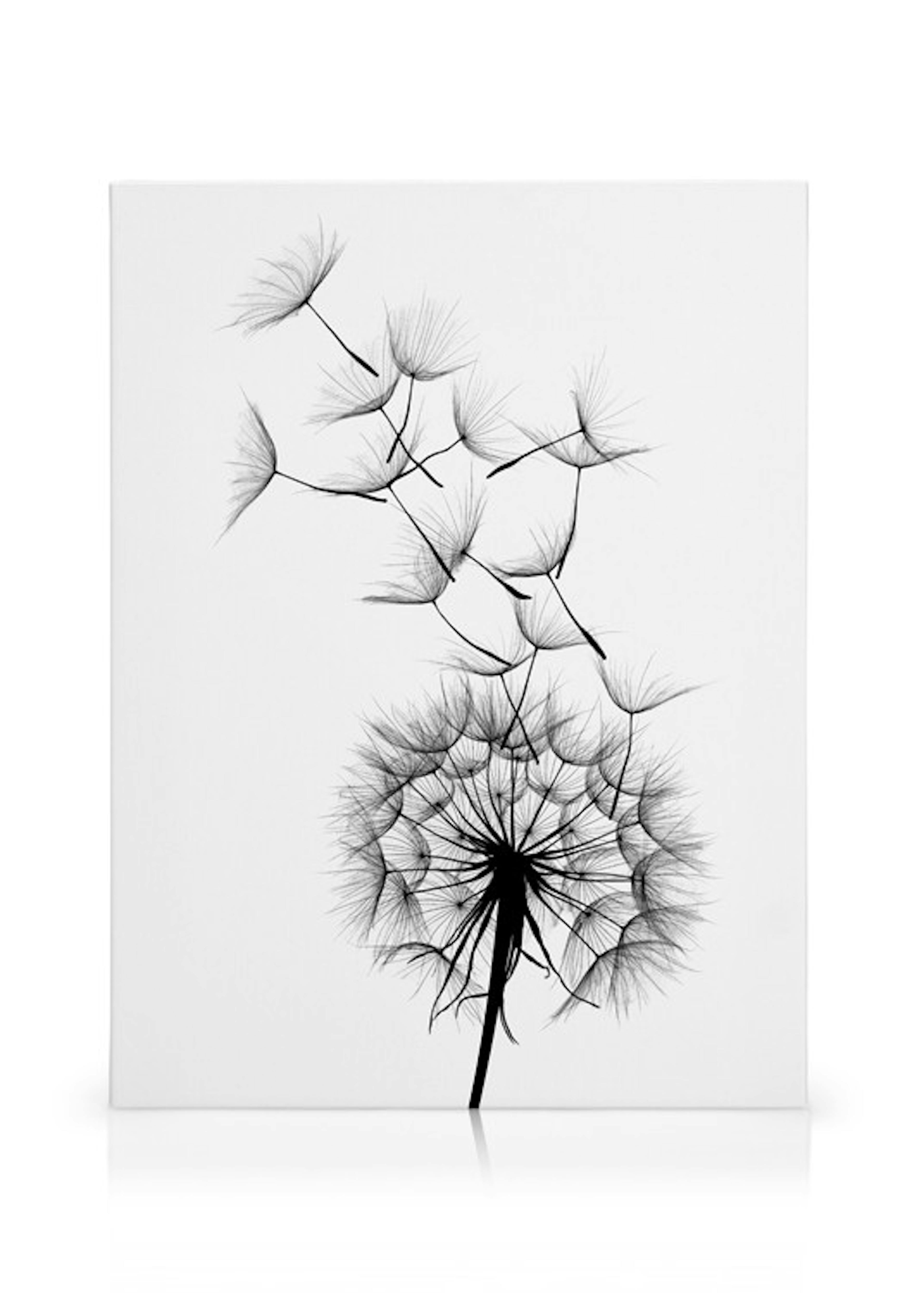 Product image: 1