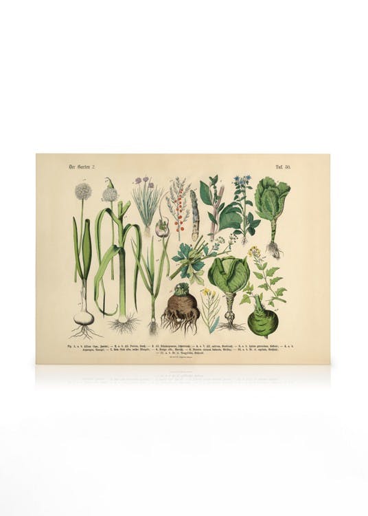 Canvas Prints Victorian Garden No2 Canvas print (30x40 cm - Oak Frame)