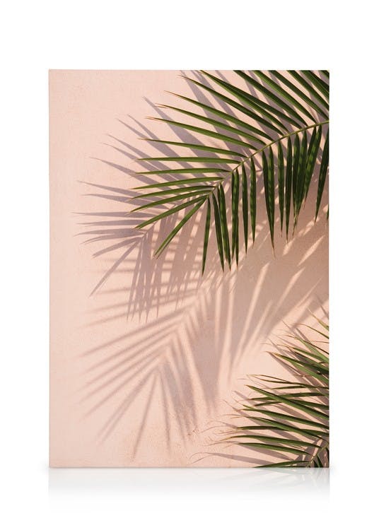 Pink Palm Tableau sur toile (30x40 cm - Cadre de chêne) - Plantes vertes