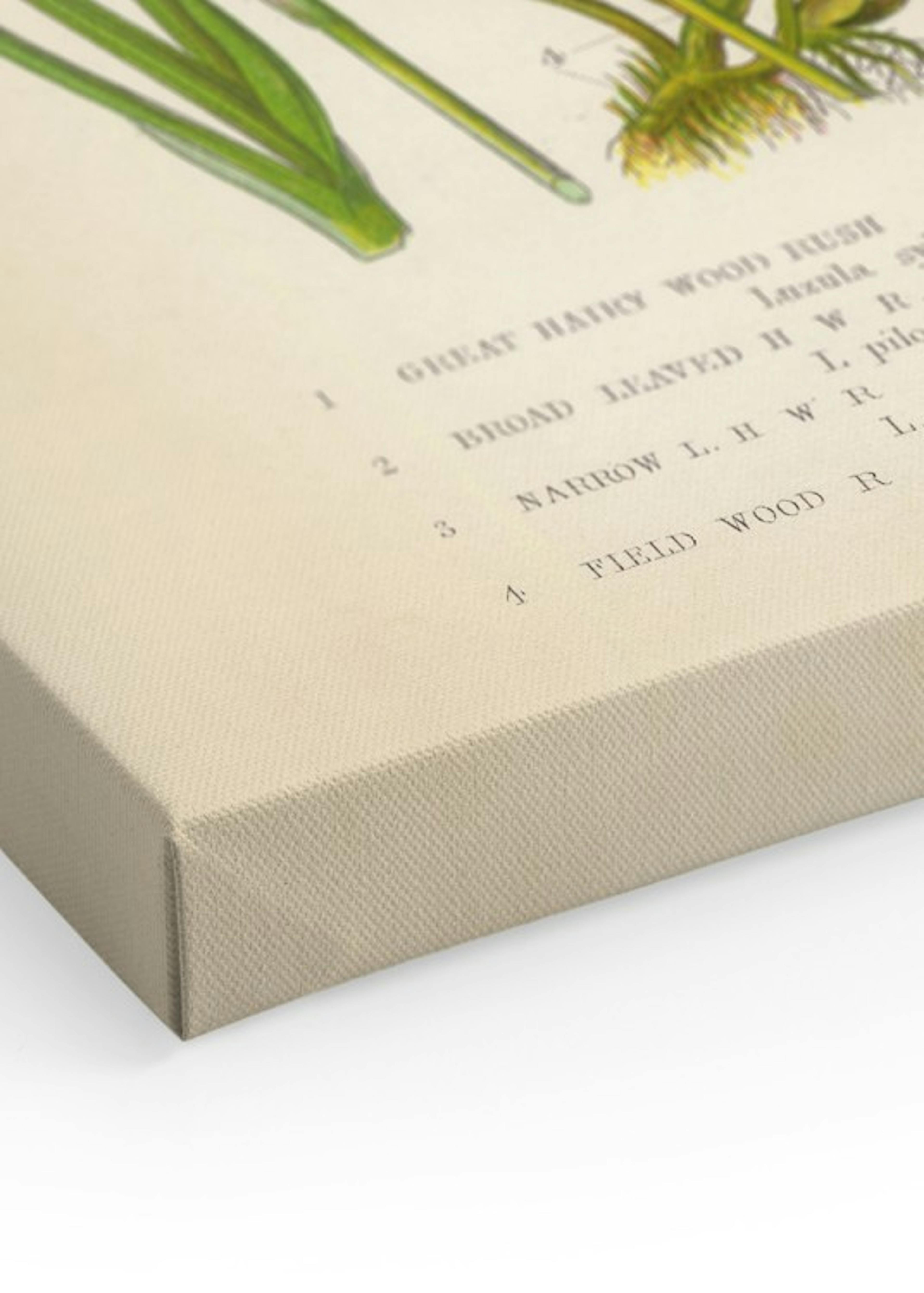 Product image: 3