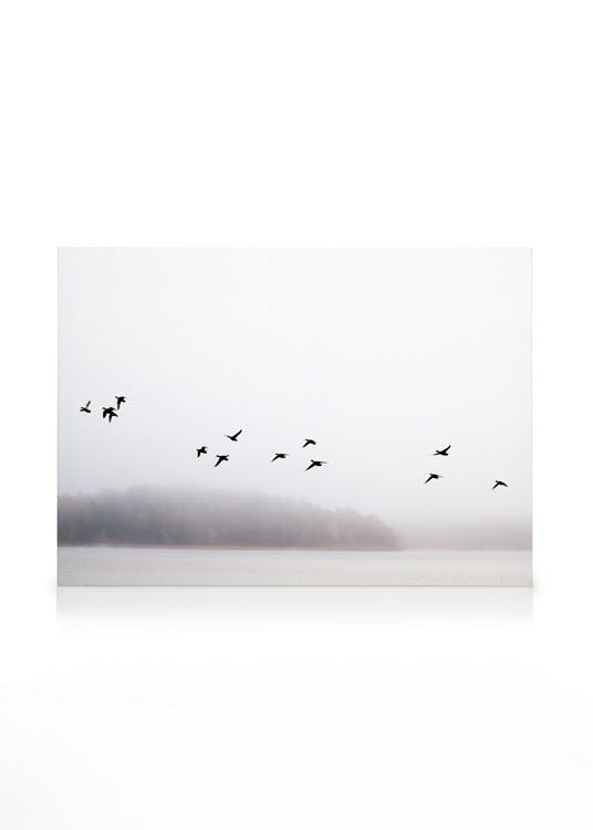Obrazy na płótnie Birds Over Lake Obraz na płótnie (30x40 cm)